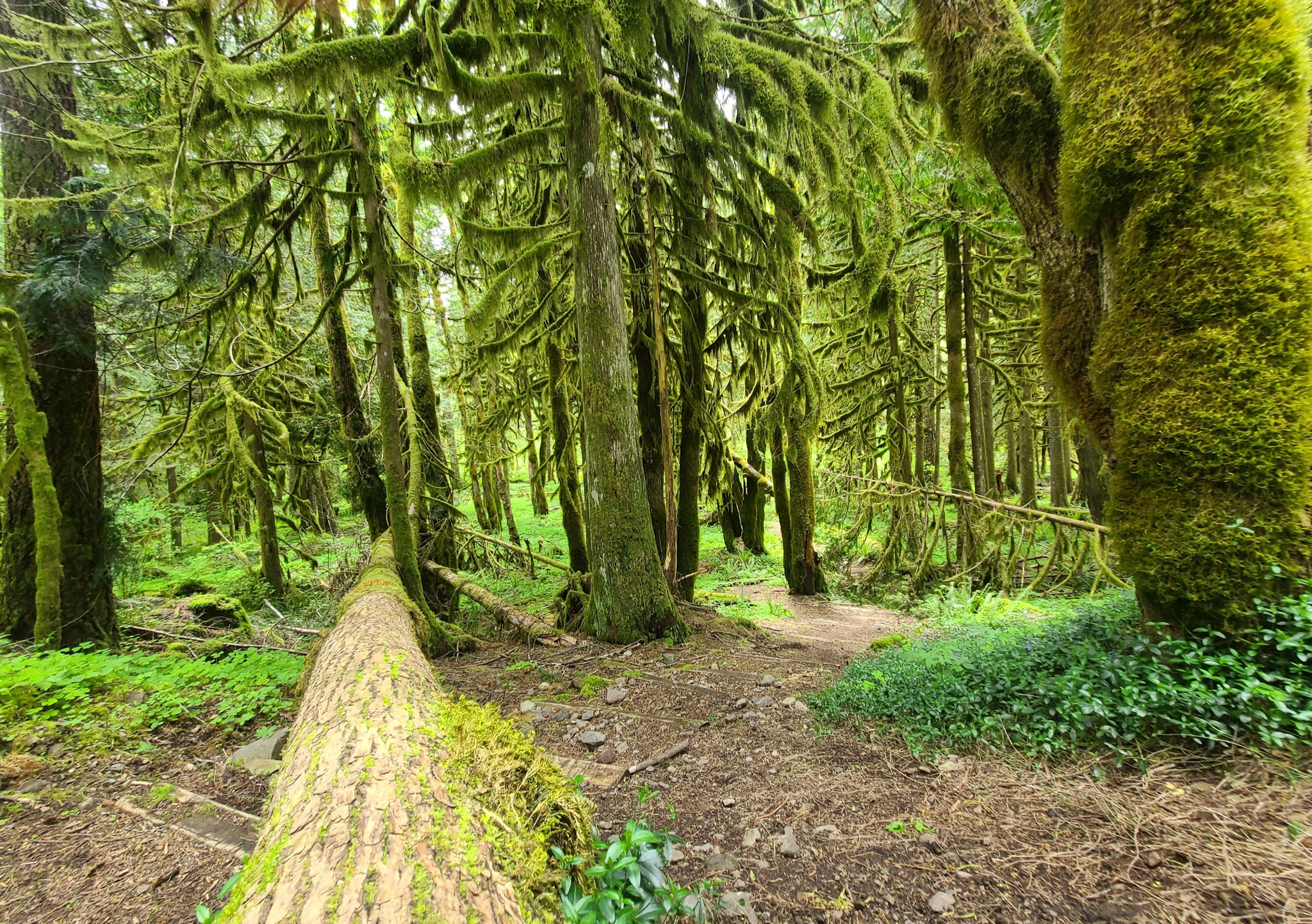 Green Canyon Campground & Day Use Area