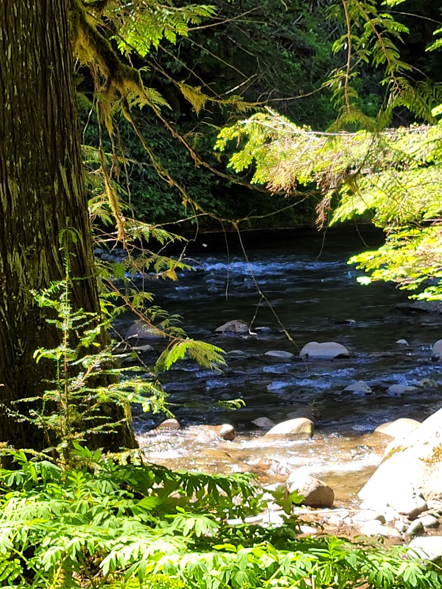 Green Canyon Campground & Day Use Area