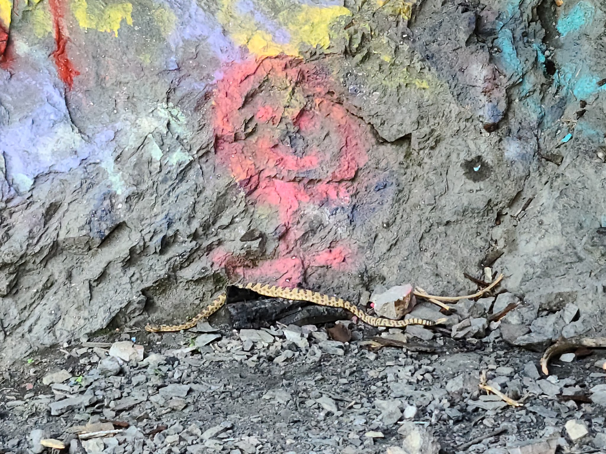 Green Canyon Picnic Area