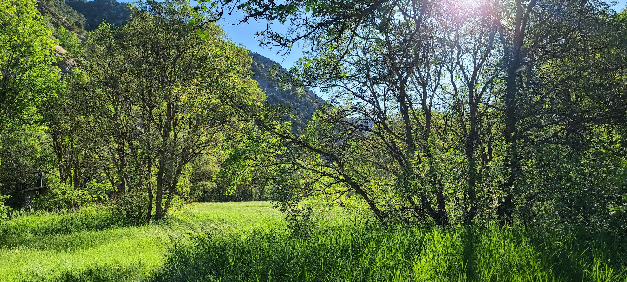 Green Canyon Picnic Area