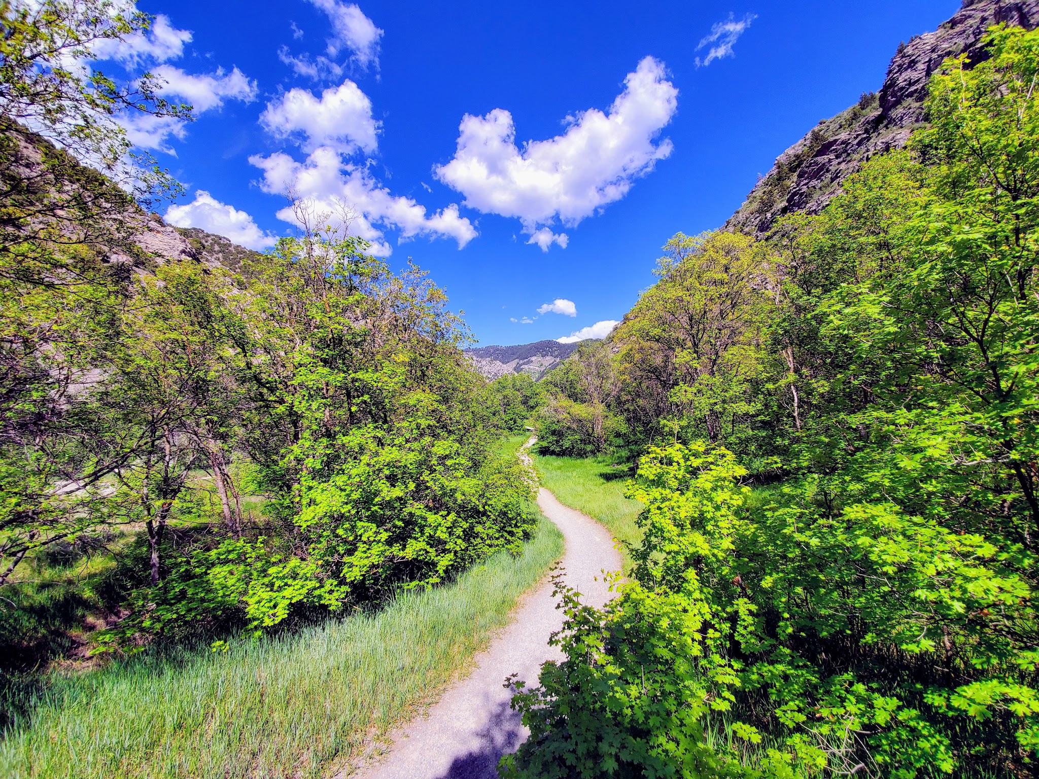 Green Canyon Picnic Area