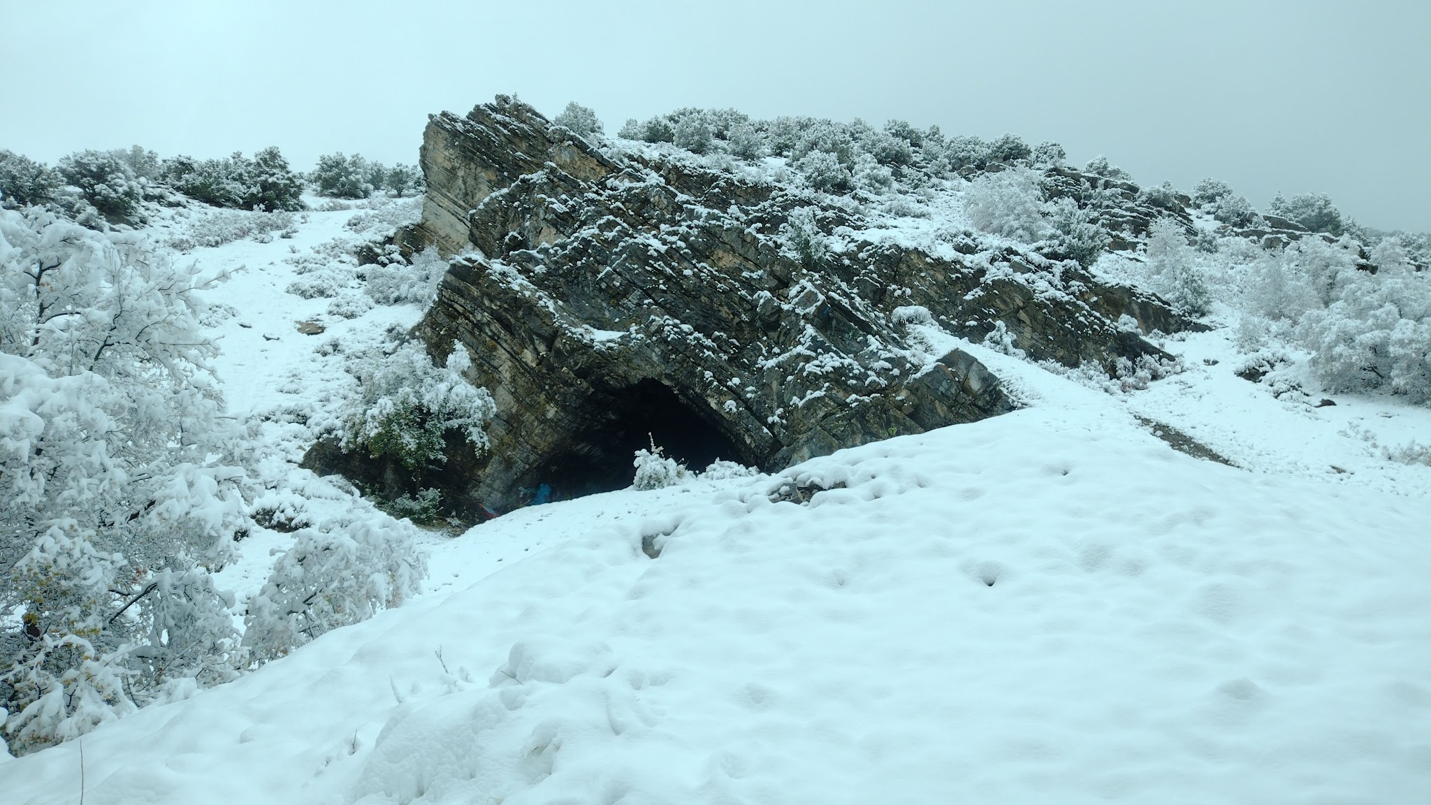 Green Canyon Picnic Area