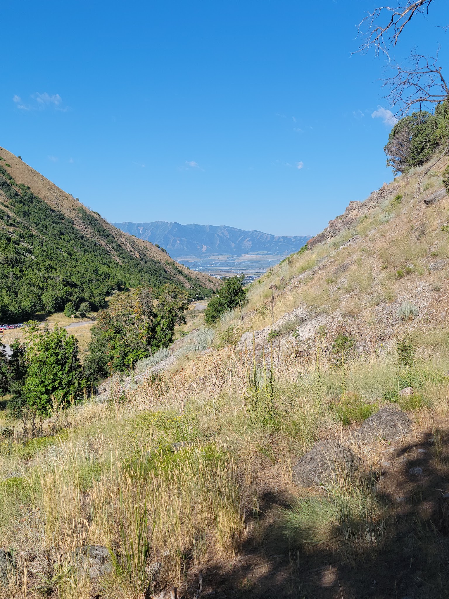 Green Canyon Picnic Area