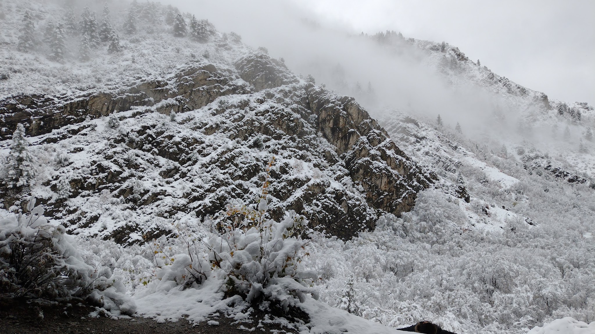 Green Canyon Picnic Area