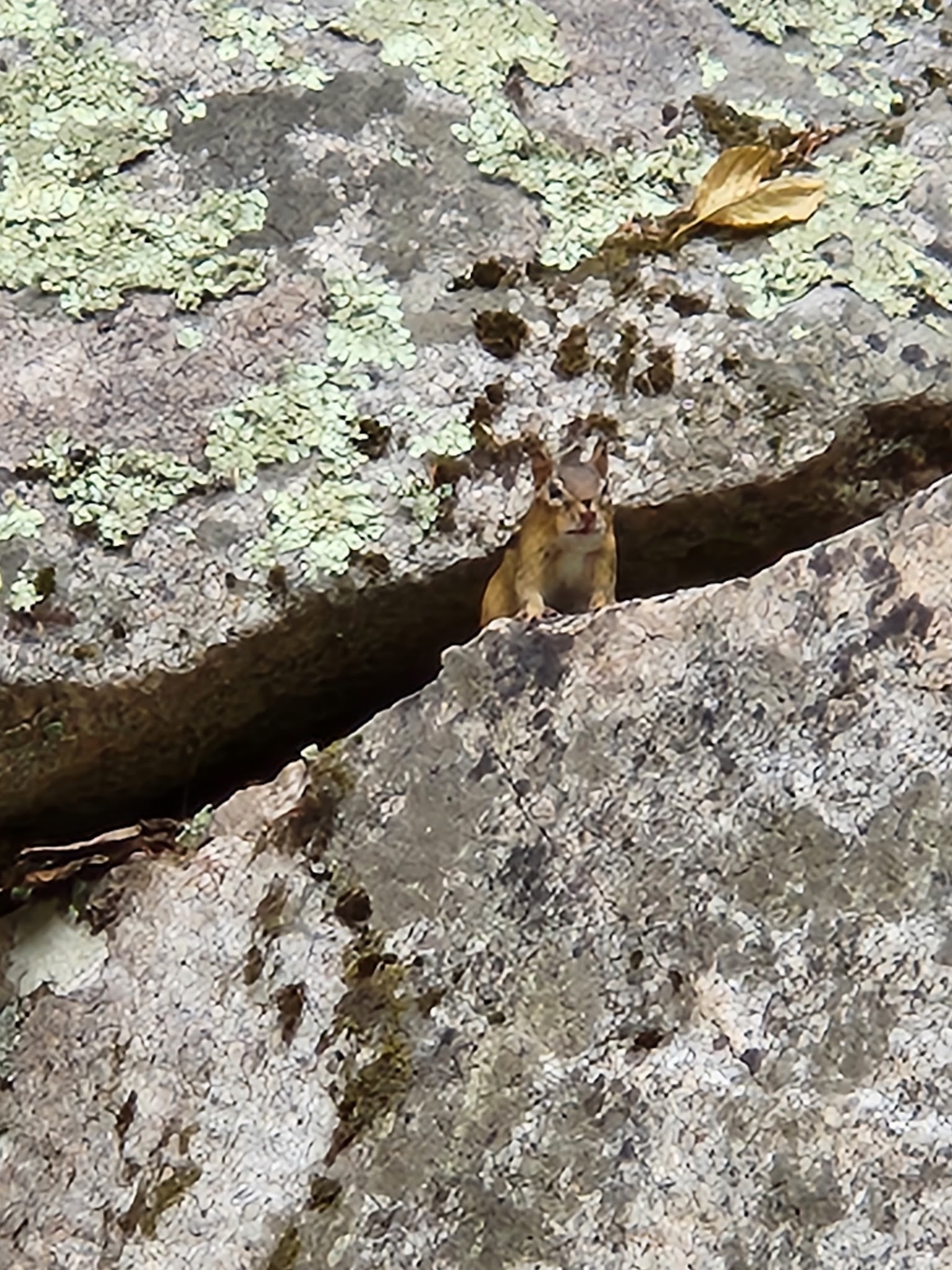 Green Falls Campground