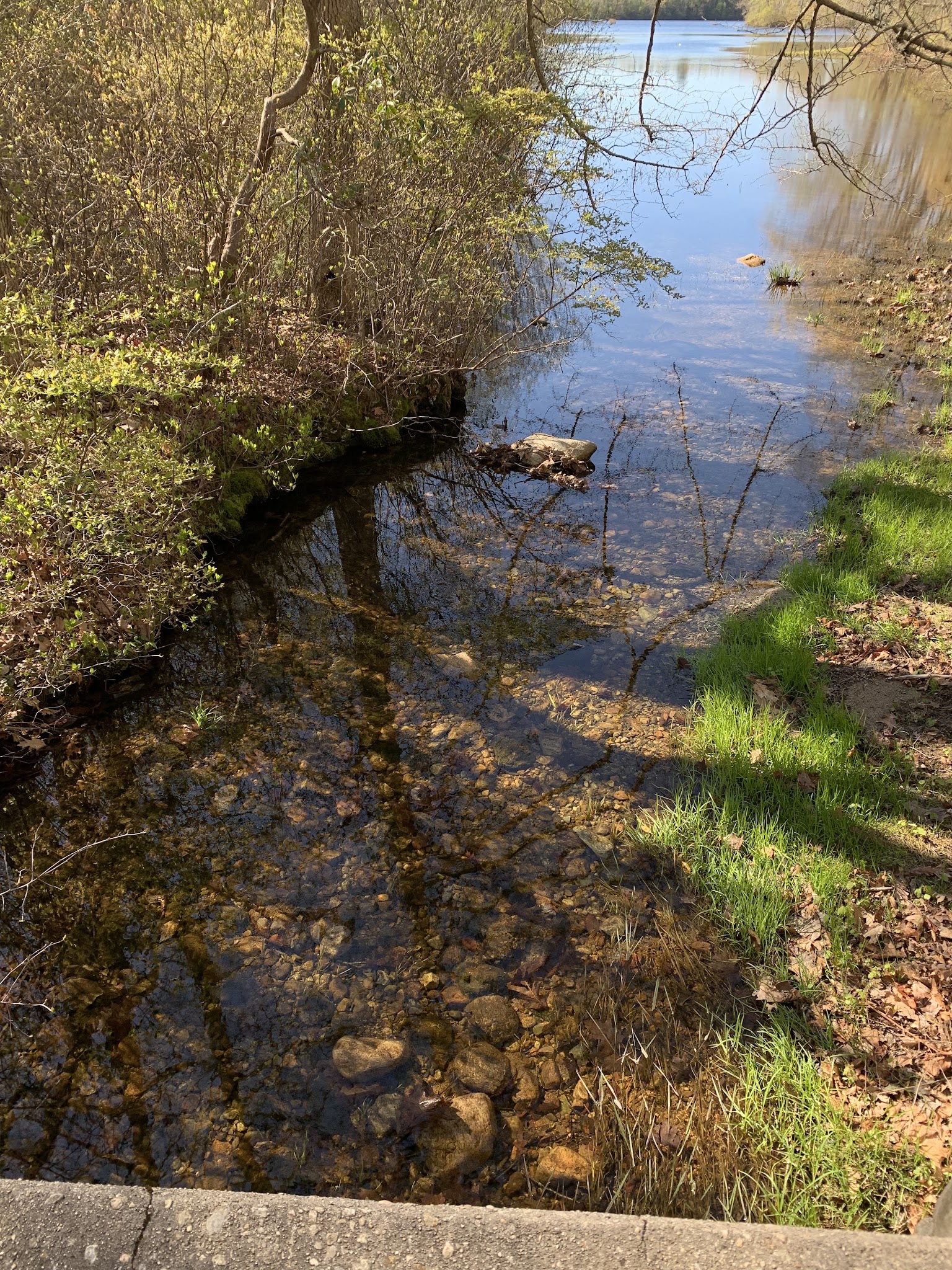 Green Falls Campground
