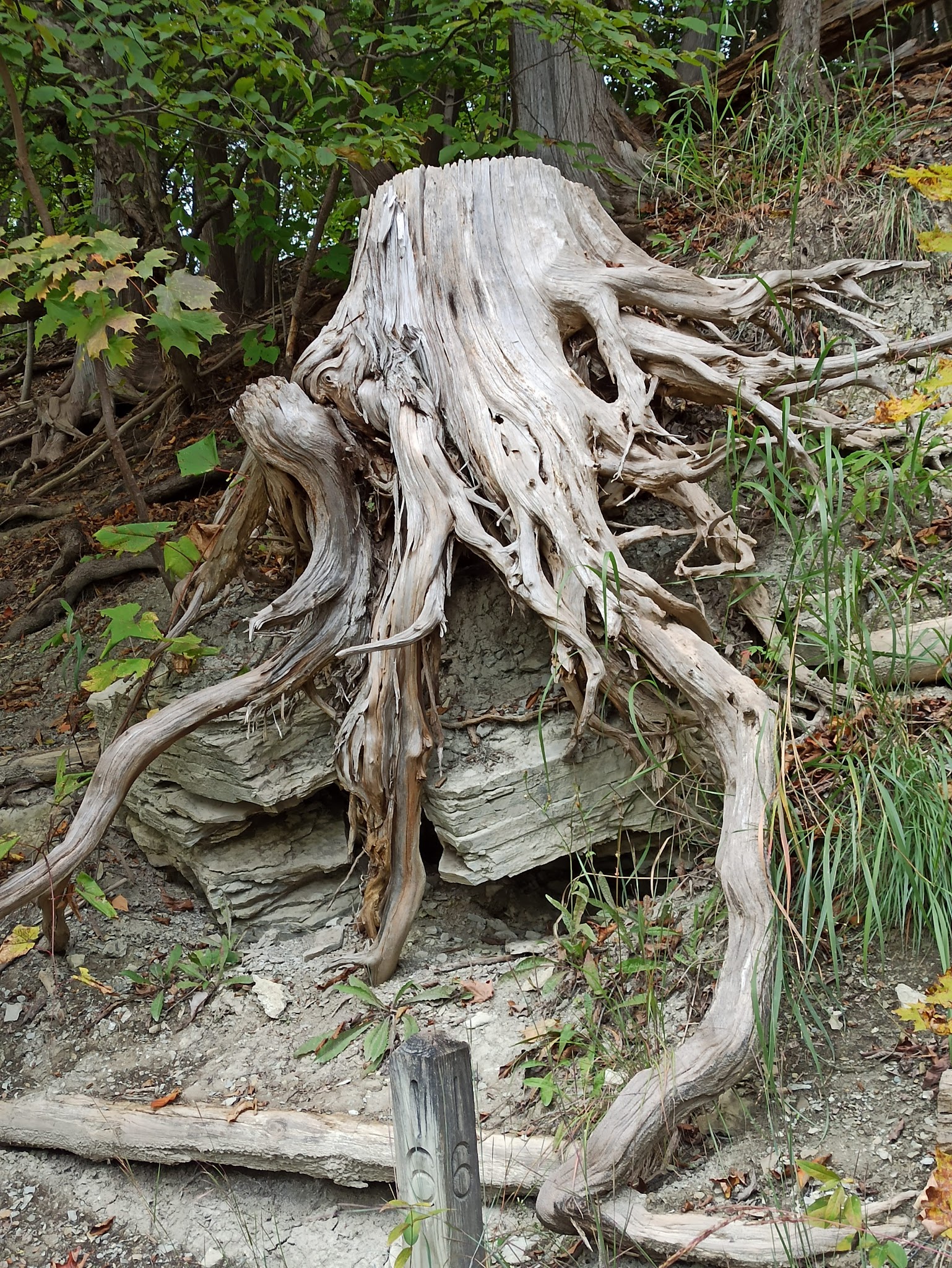 Green Lakes State Park