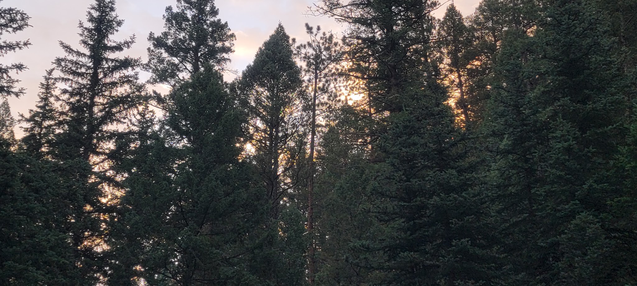 Green Montain Campground