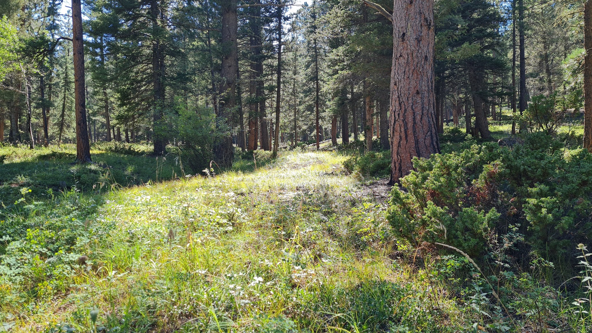 Green Montain Campground