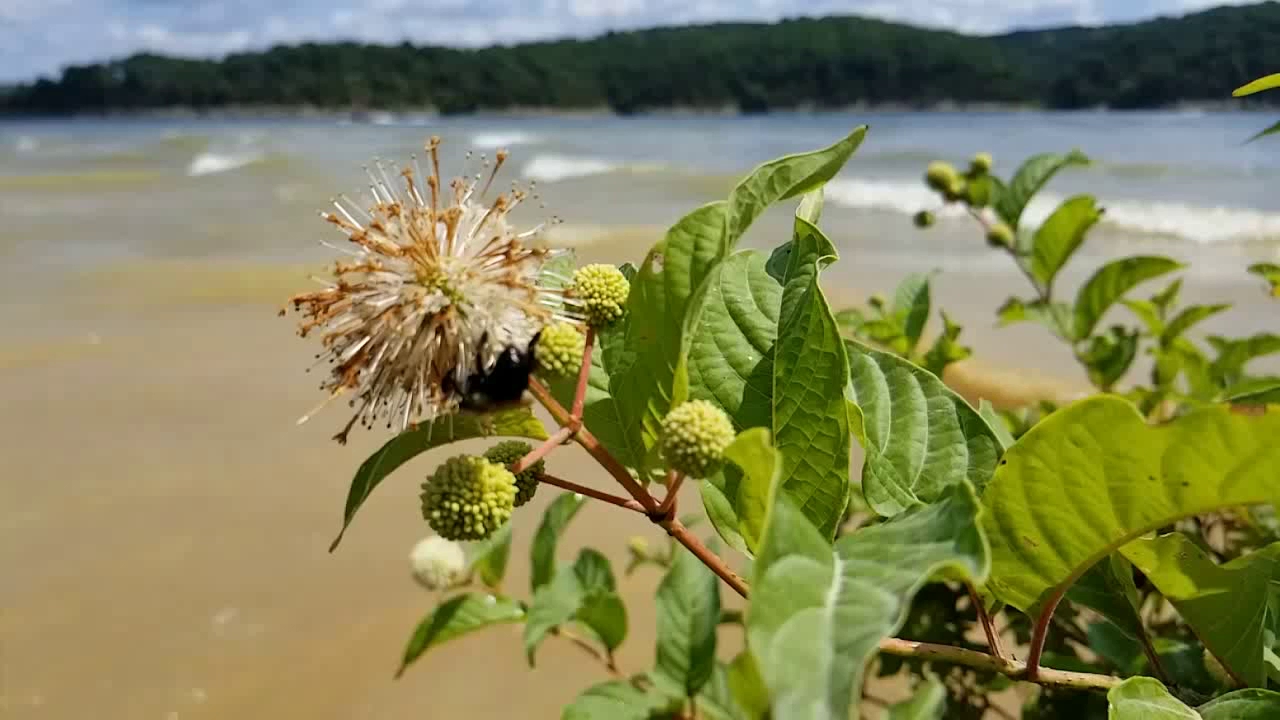 Green River Lake State Park