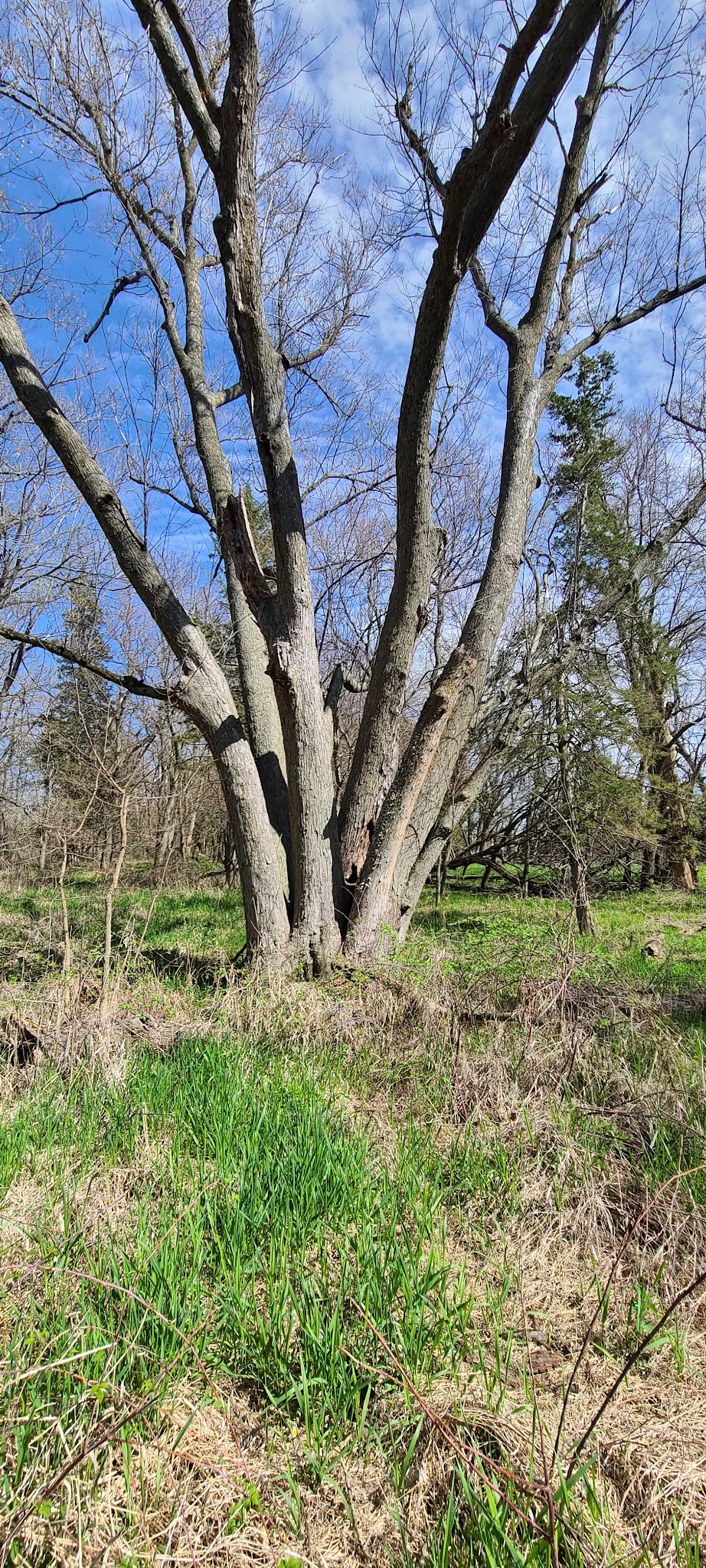 Green Valley State Park