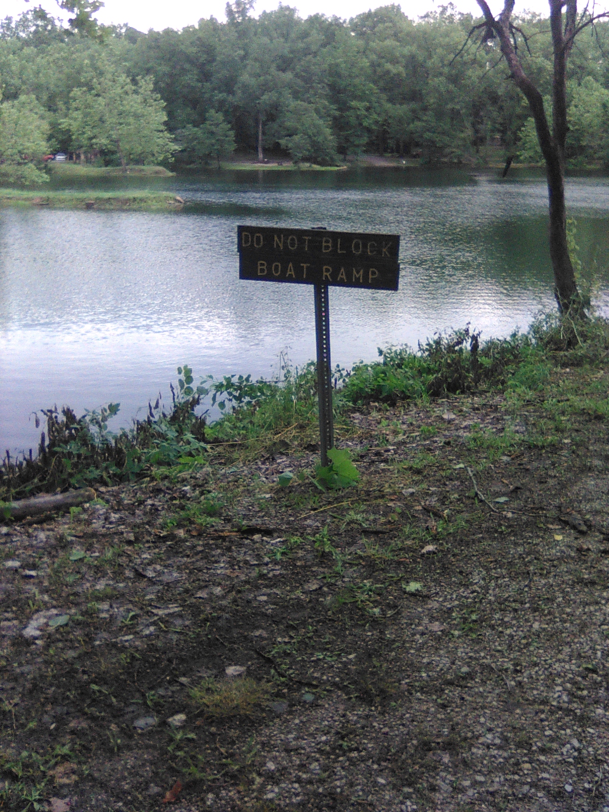 Greene-Sullivan State Forest