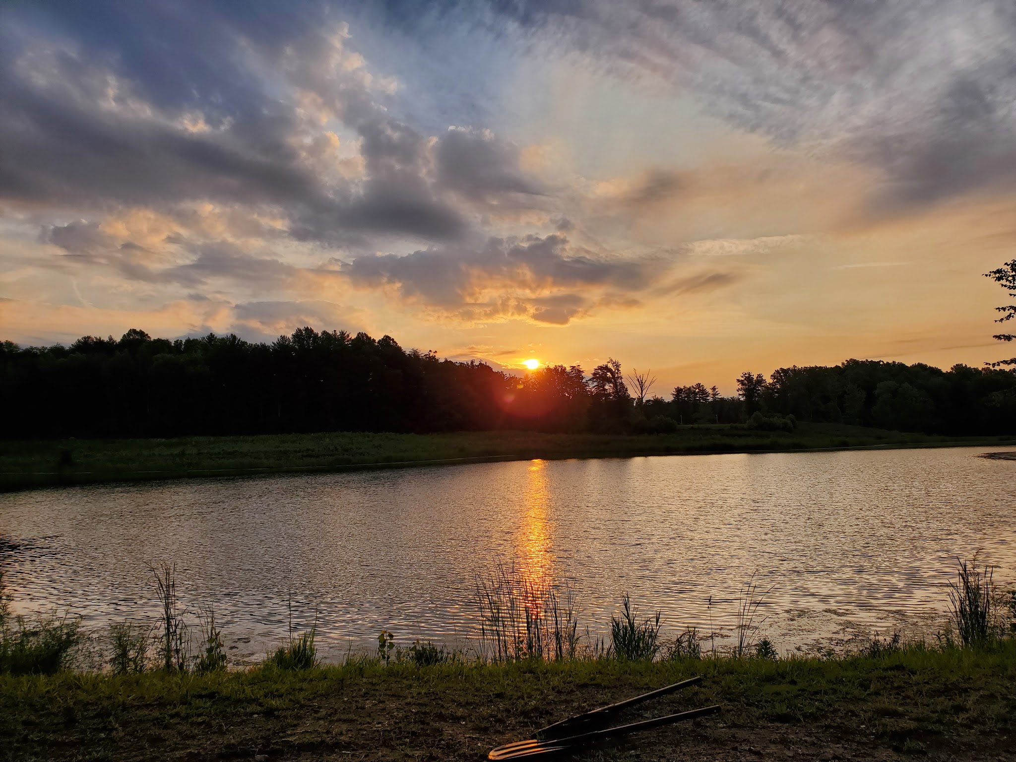 Greene-Sullivan State Forest