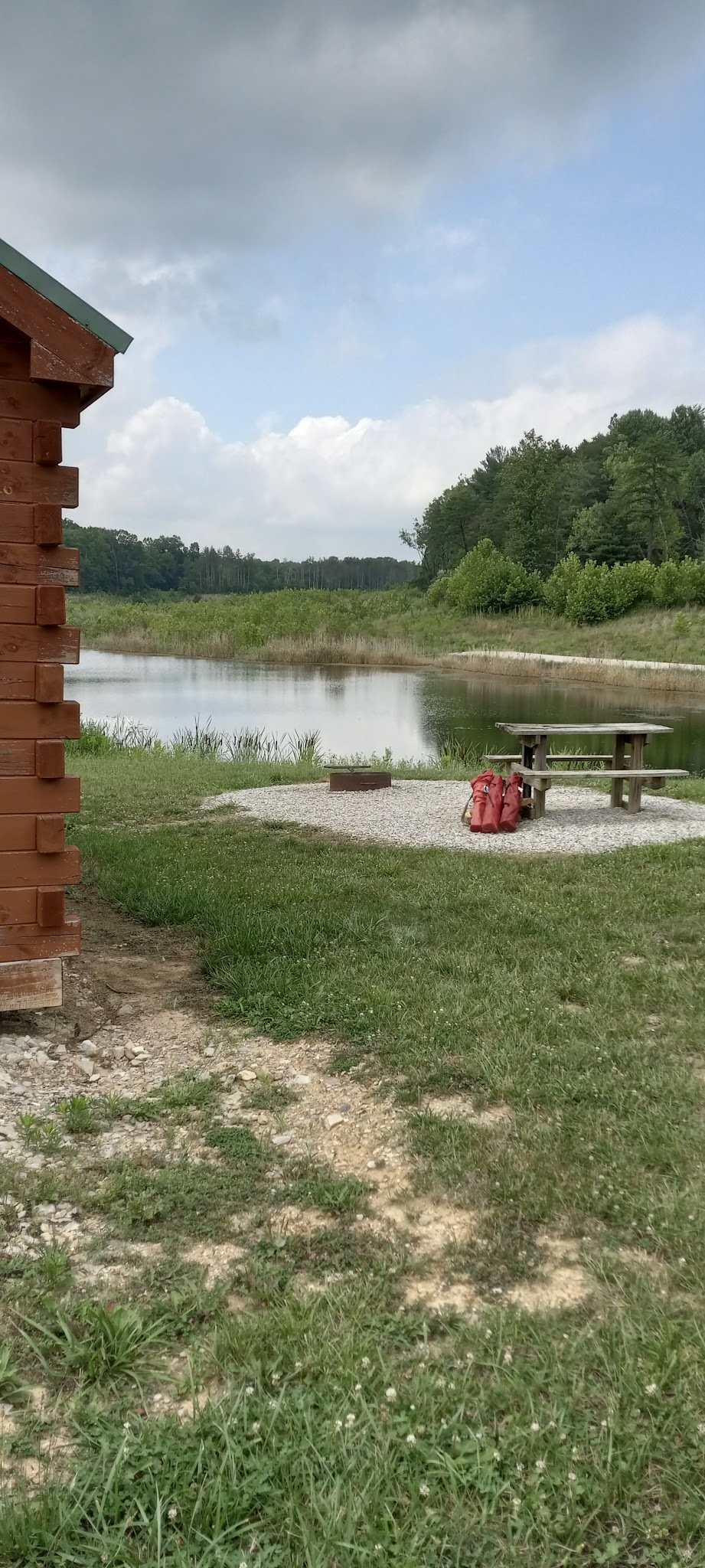 Greene-Sullivan State Forest