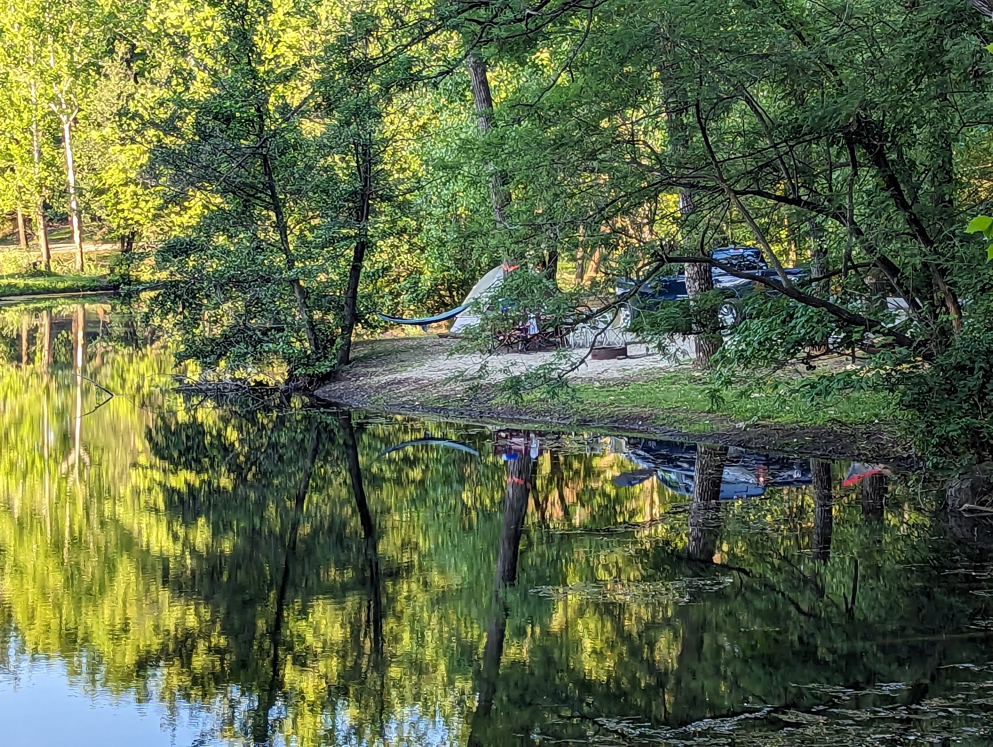 Greene-Sullivan State Forest