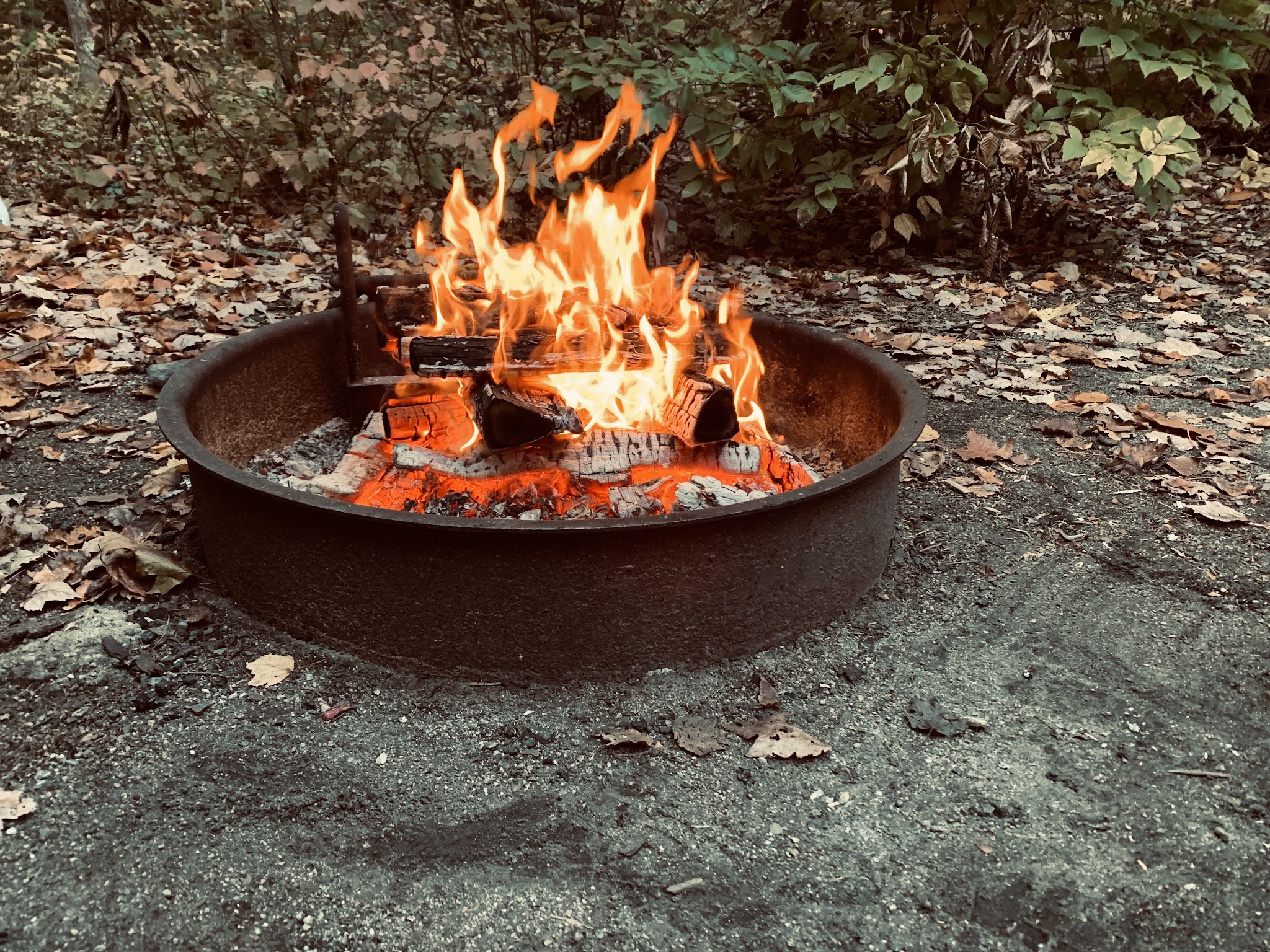 Greenfield State Park