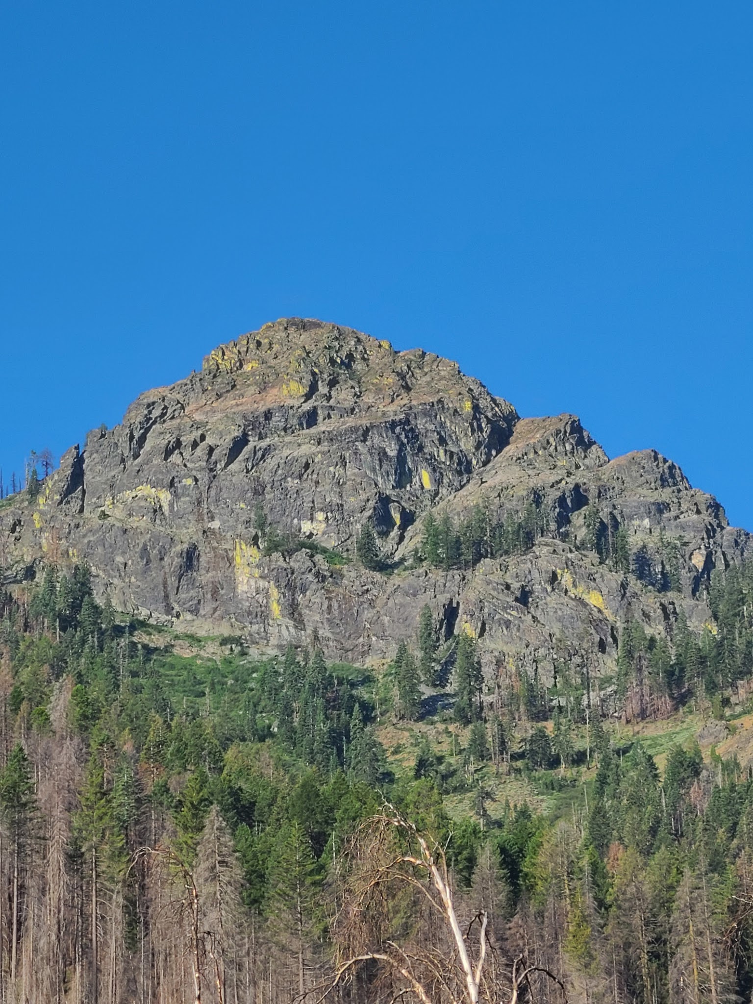 Greenville Campground