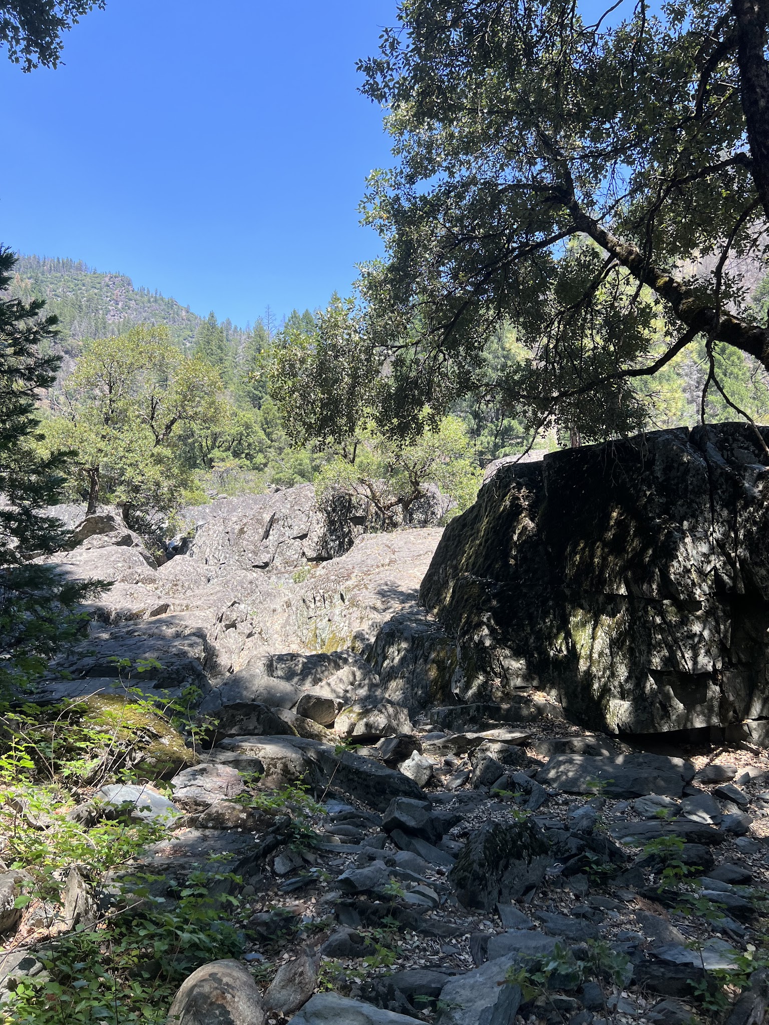 Greenville Campground