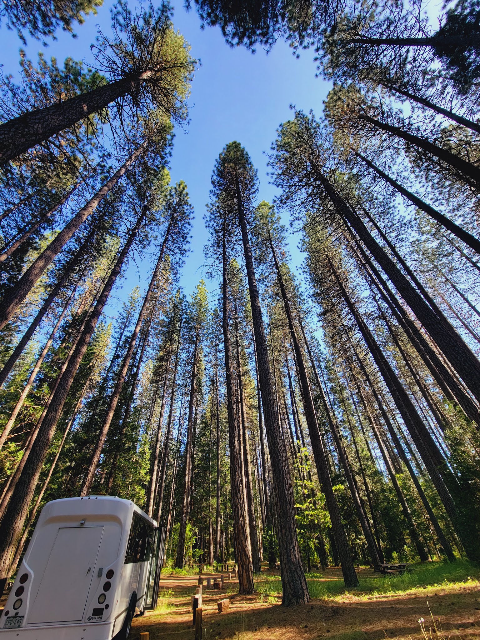 Greenville Campground