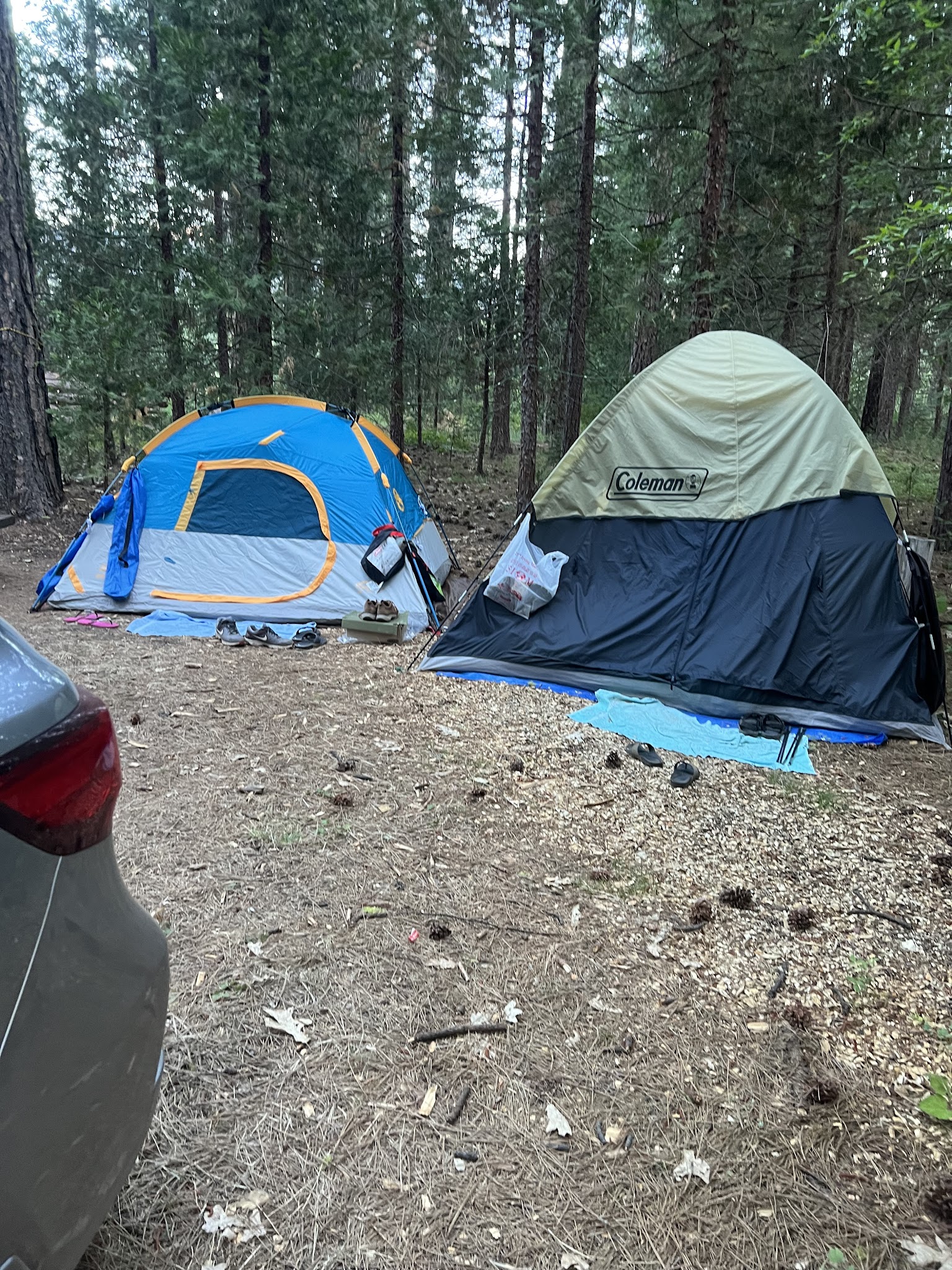 Greenville Campground