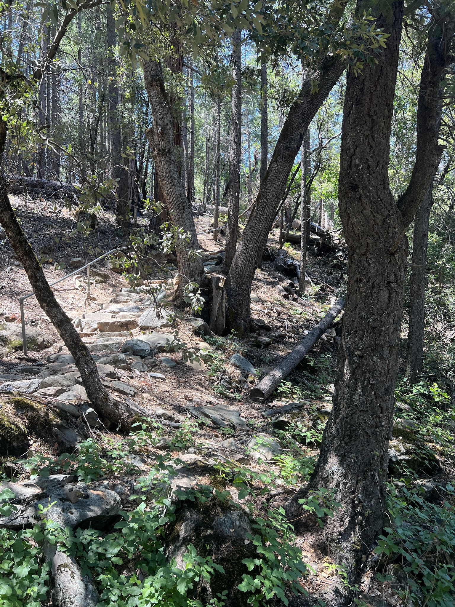 Greenville Campground