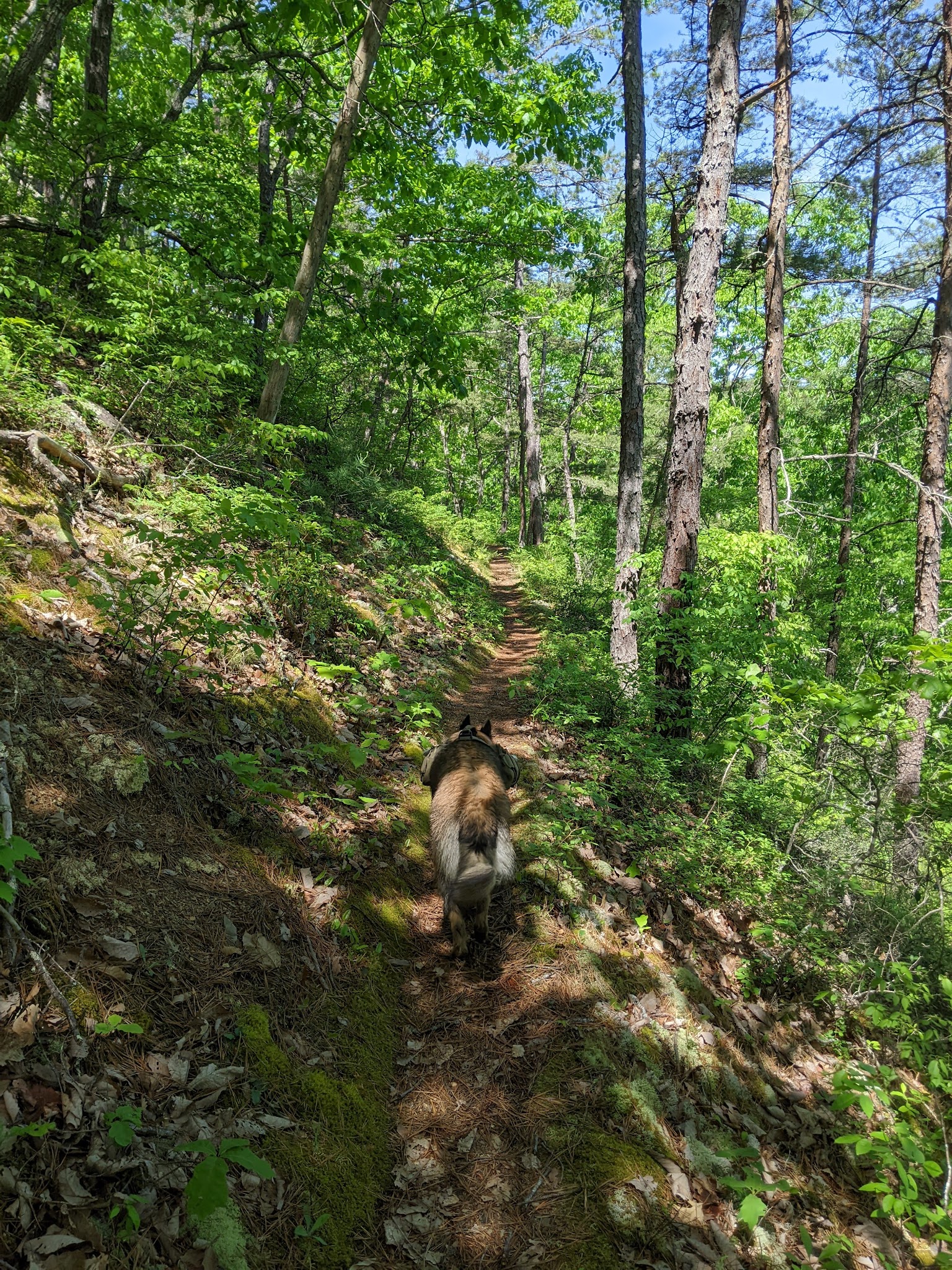 Greenwood Point Campground