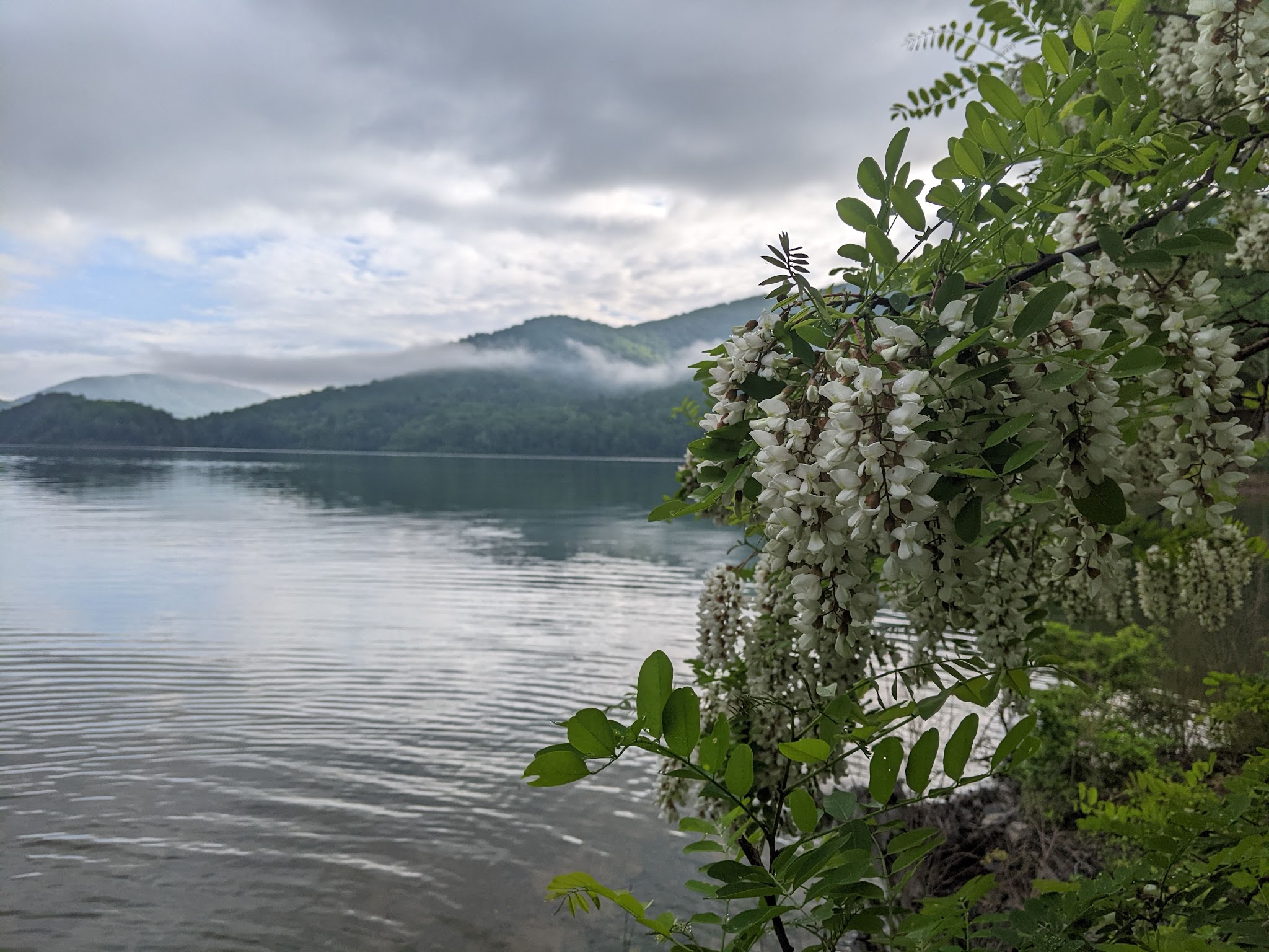 Greenwood Point Campground