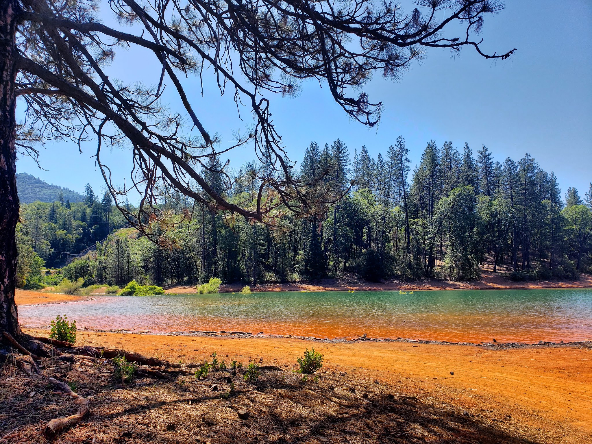 Gregory Creek Group Campground