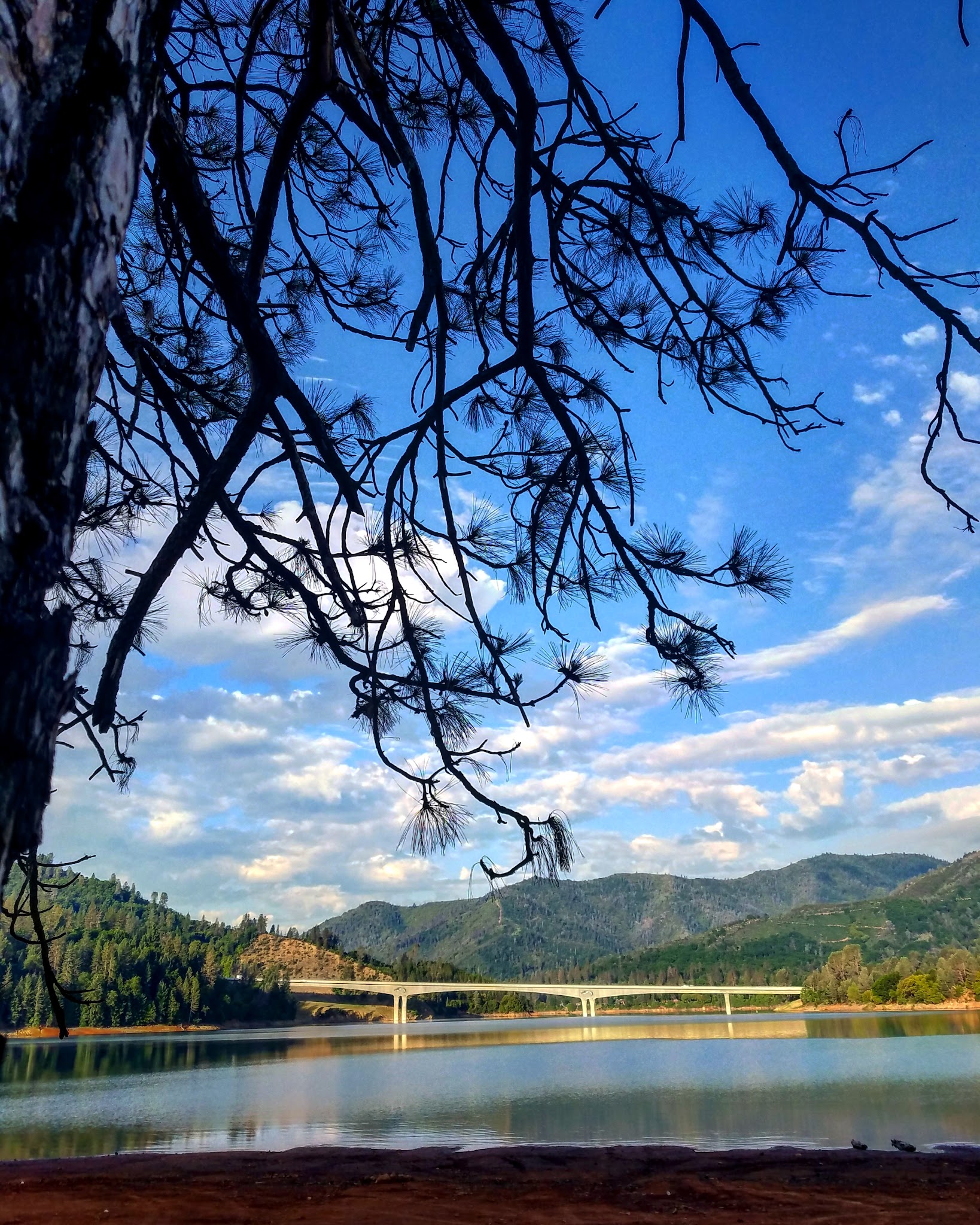 Gregory Creek Group Campground