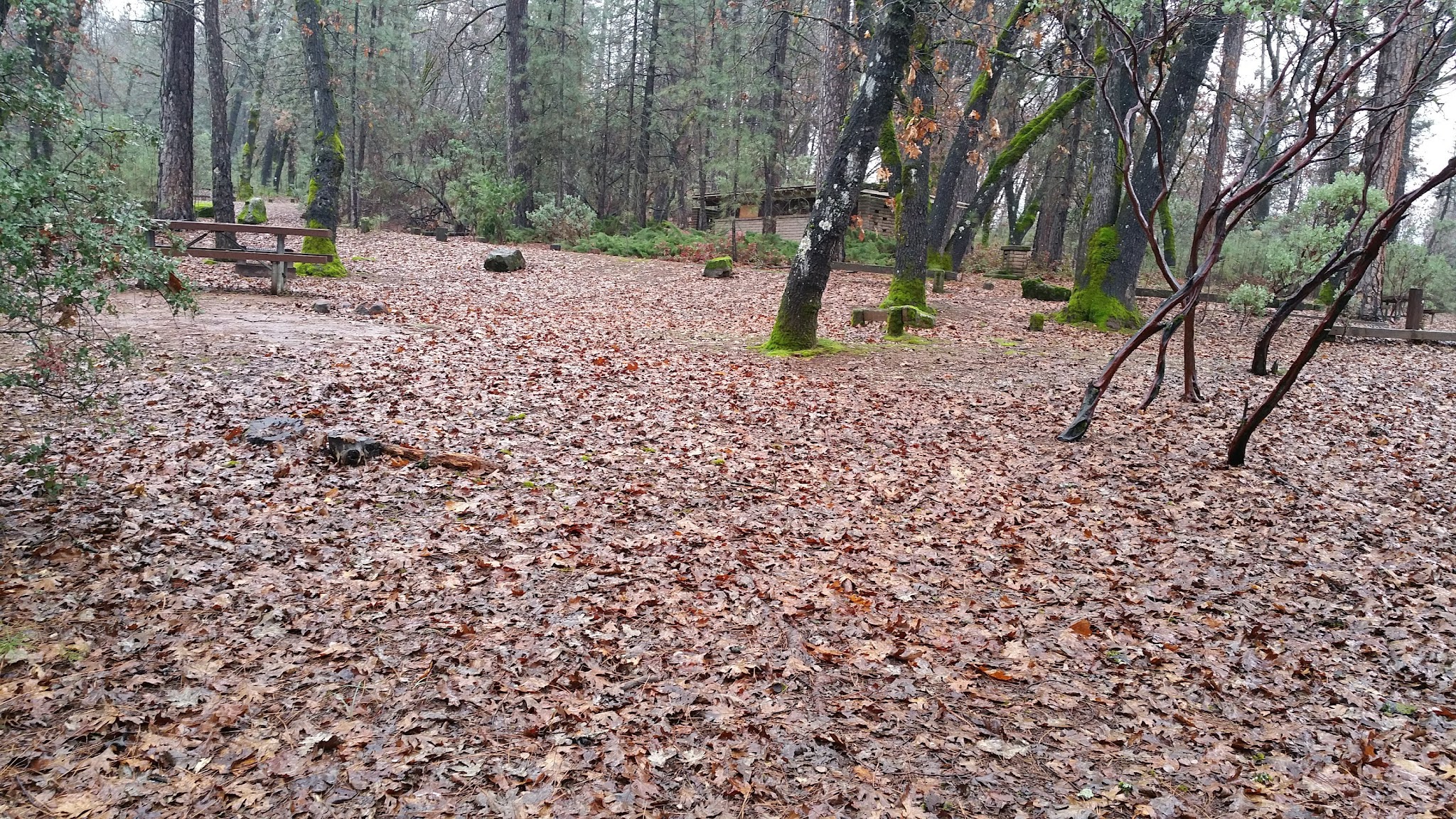 Gregory Creek Group Campground