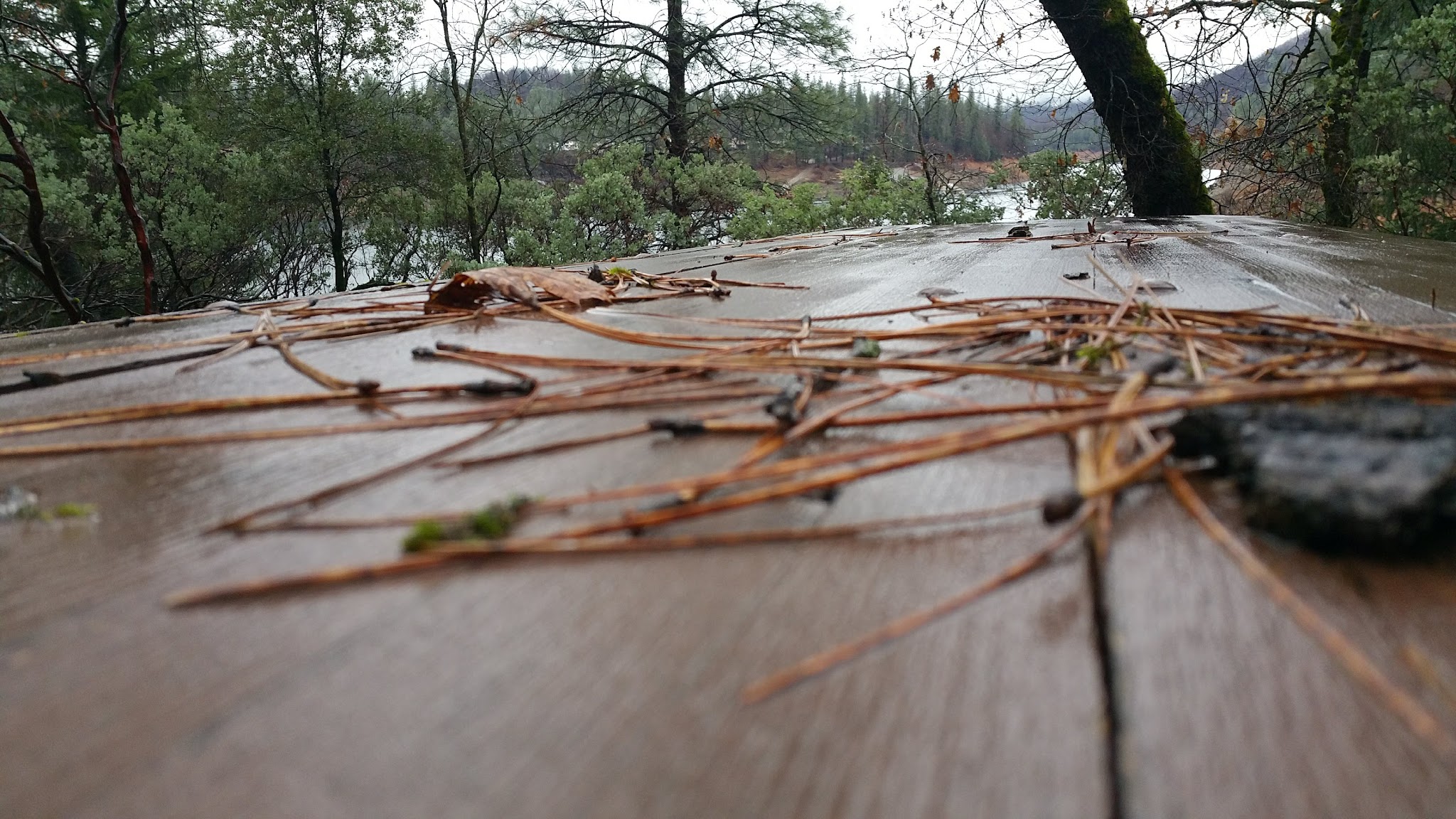 Gregory Creek Group Campground