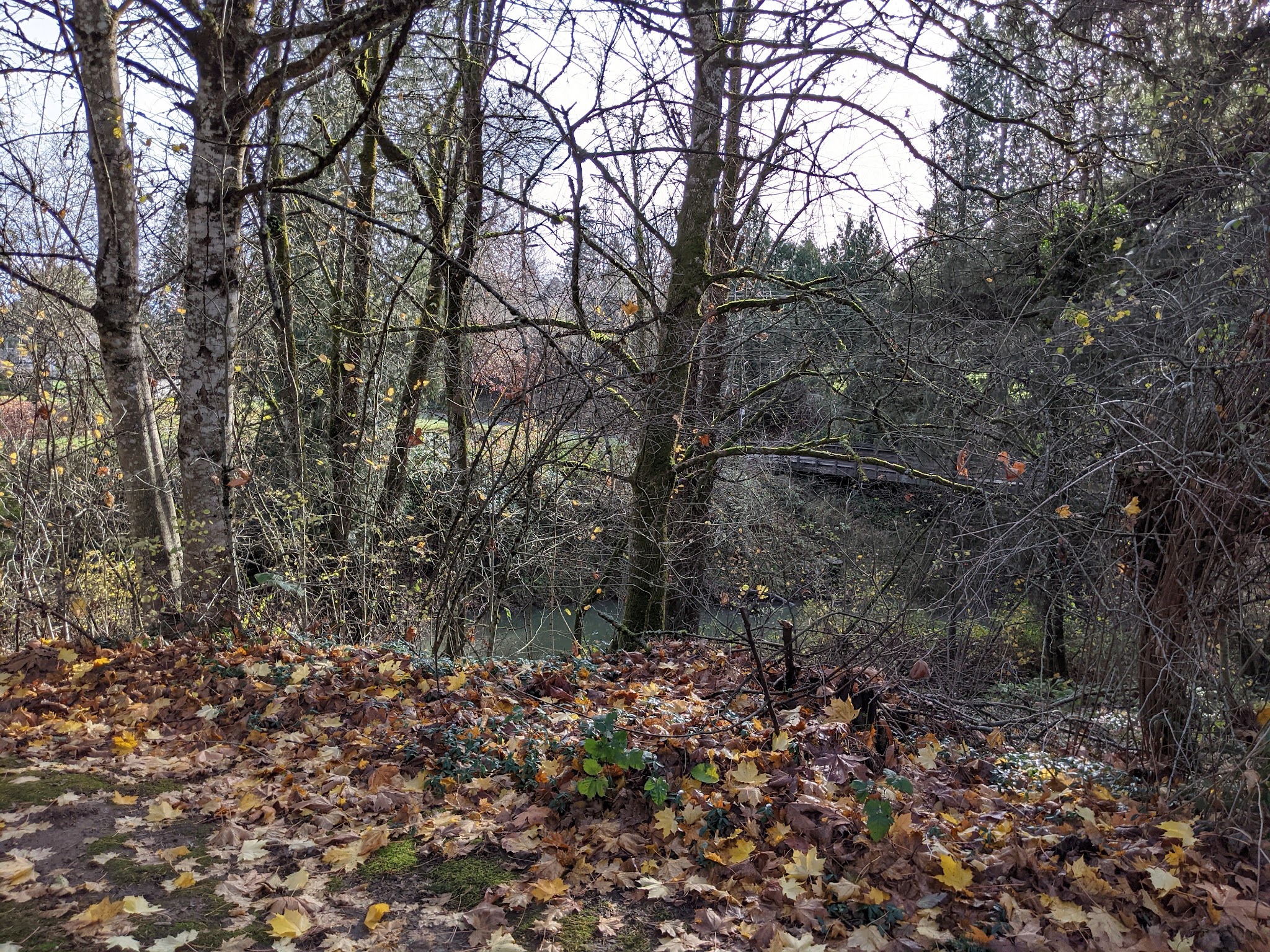 Gresham Pioneer Cemetery Crup Campground