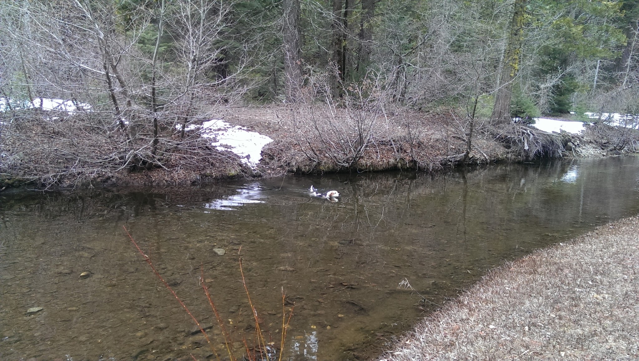 Greys Mountain Campground