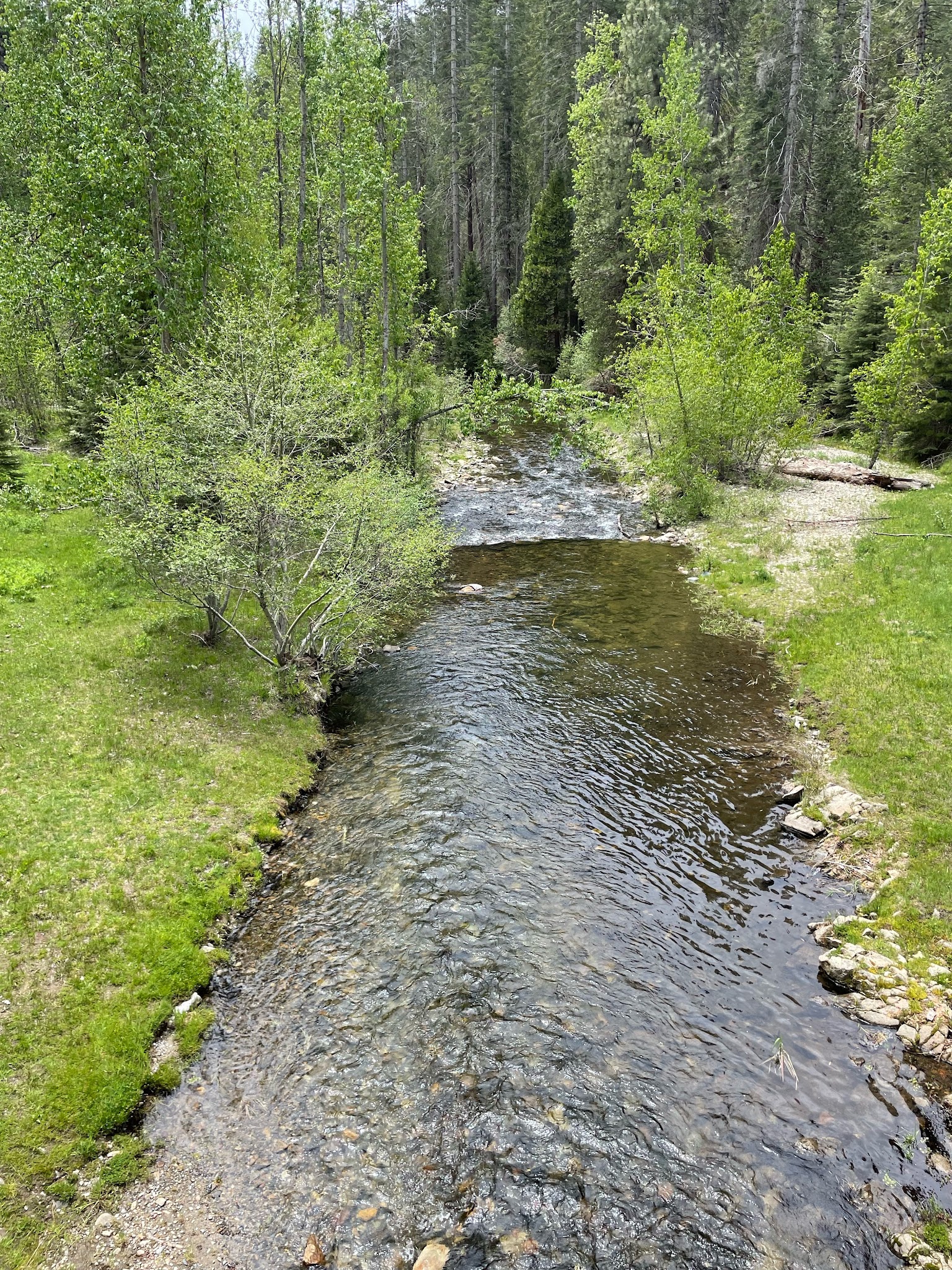 Greys Mountain Campground