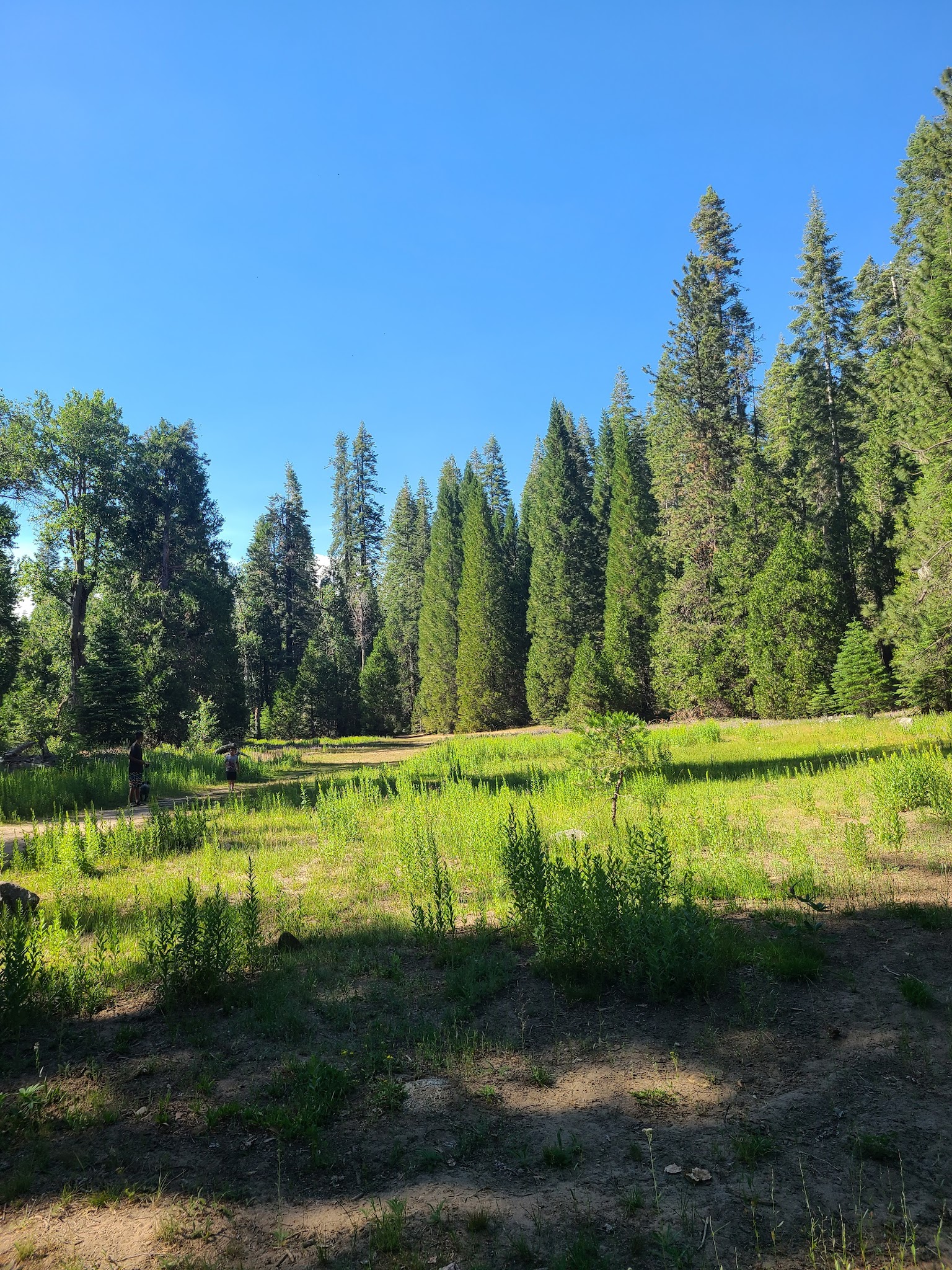 Greys Mountain Campground