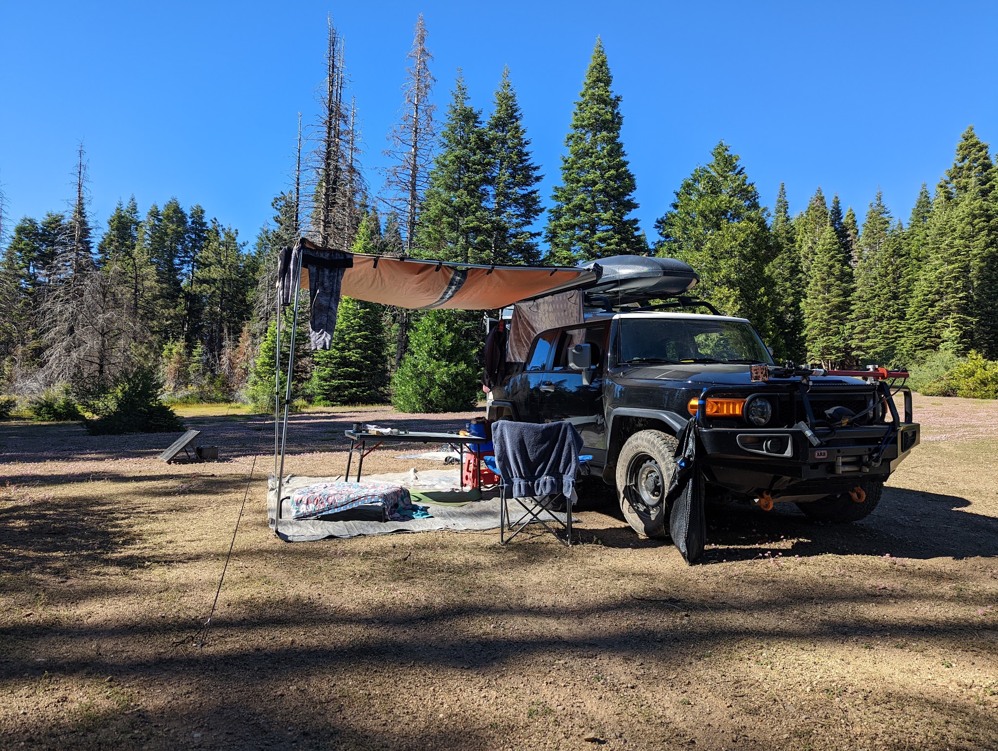 Grizzly Flat Dispersed Camping