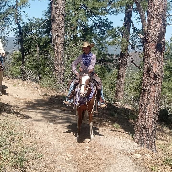 Groom Creek Horse Camp