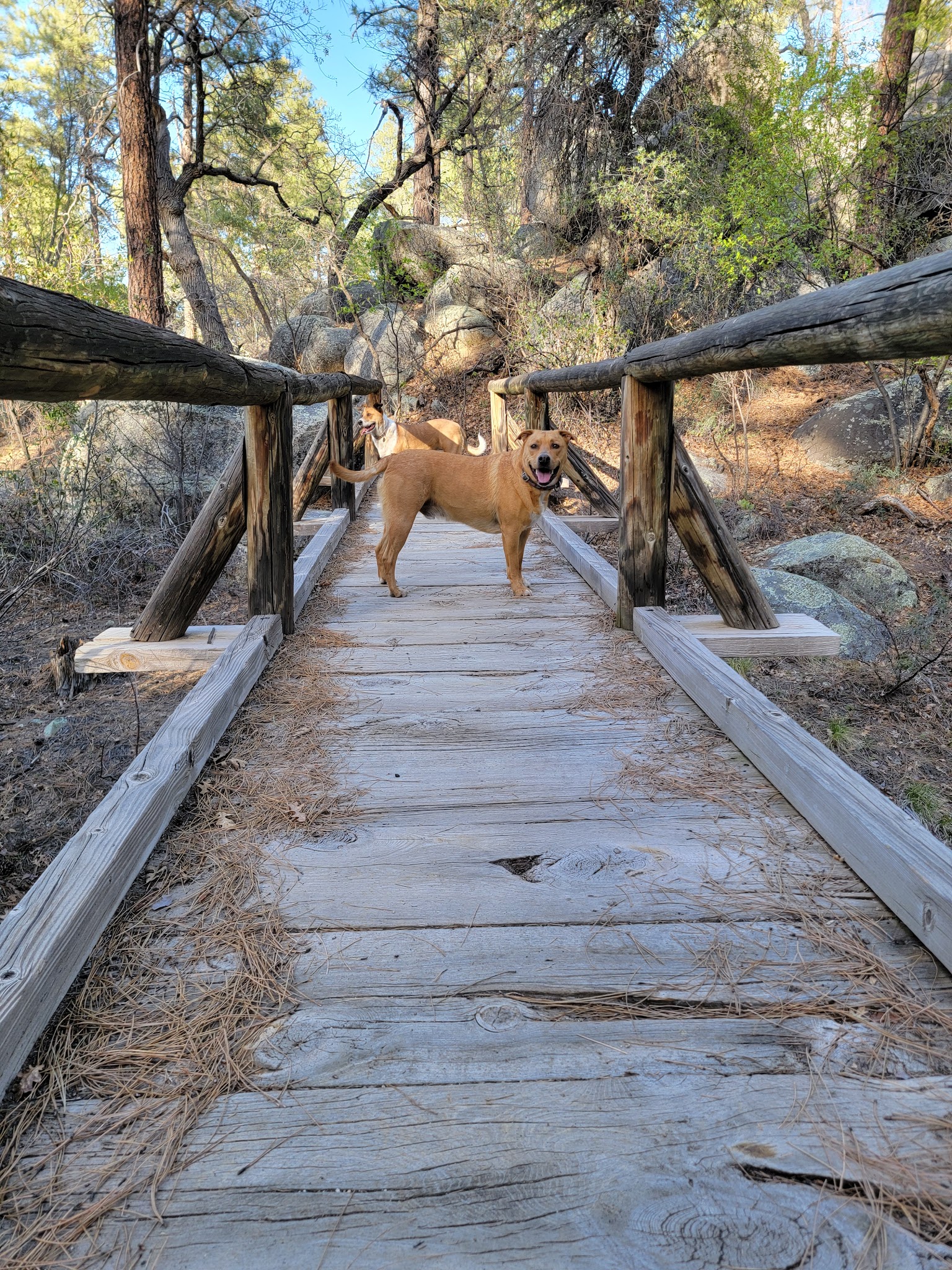 Groom Creek Schoolhouse