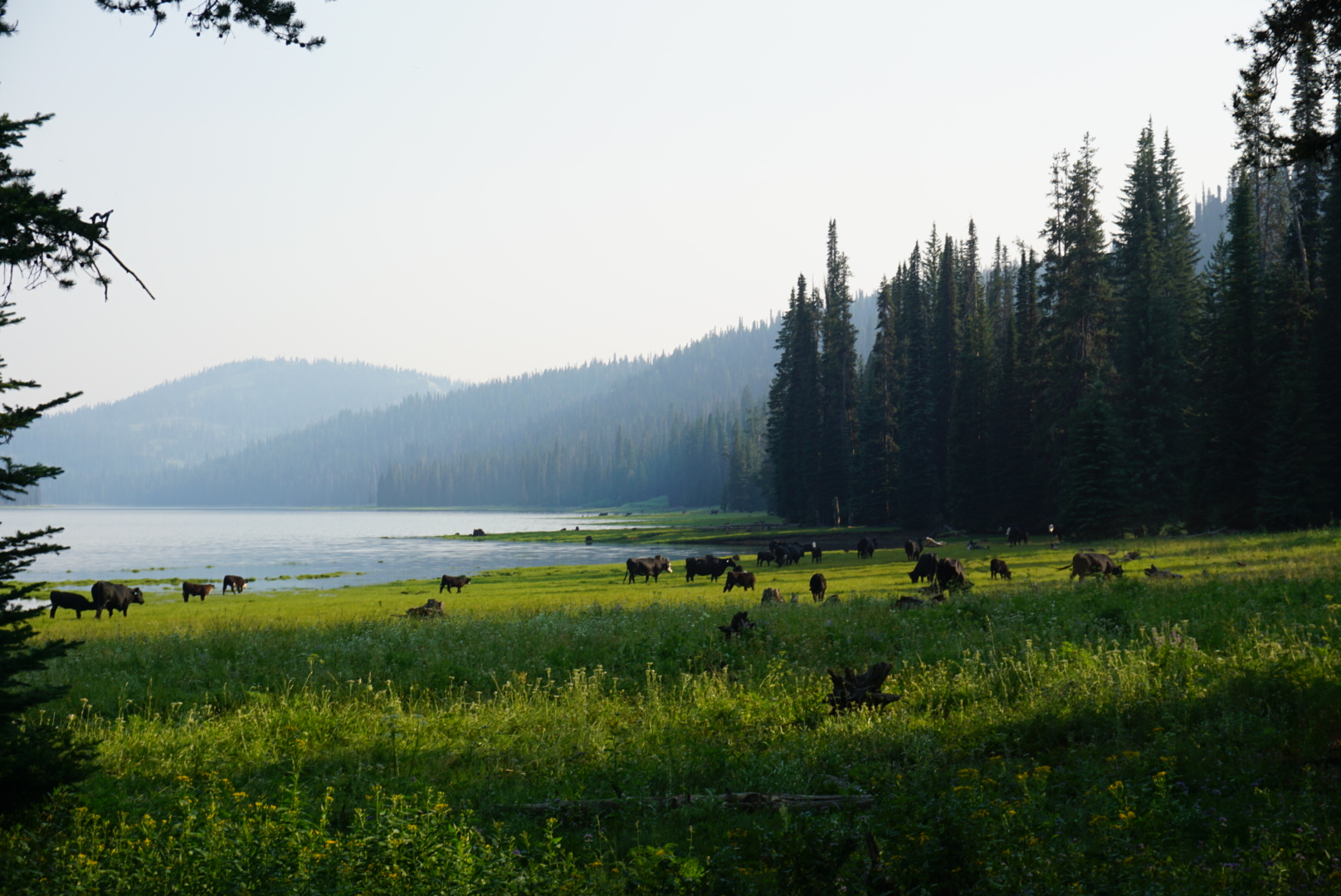 Grouse Campground