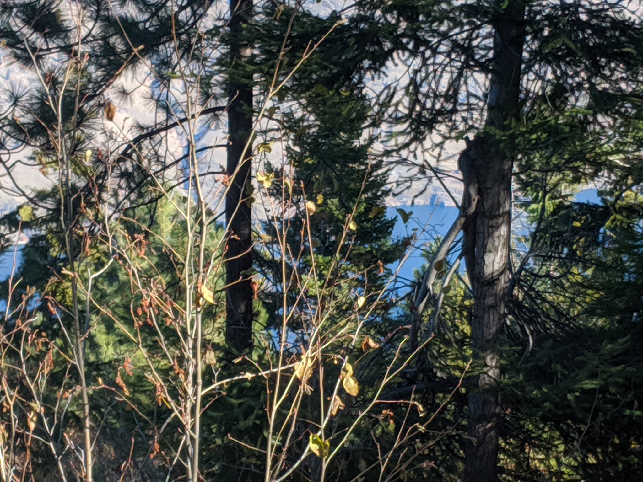 Grouse Mountain Campground