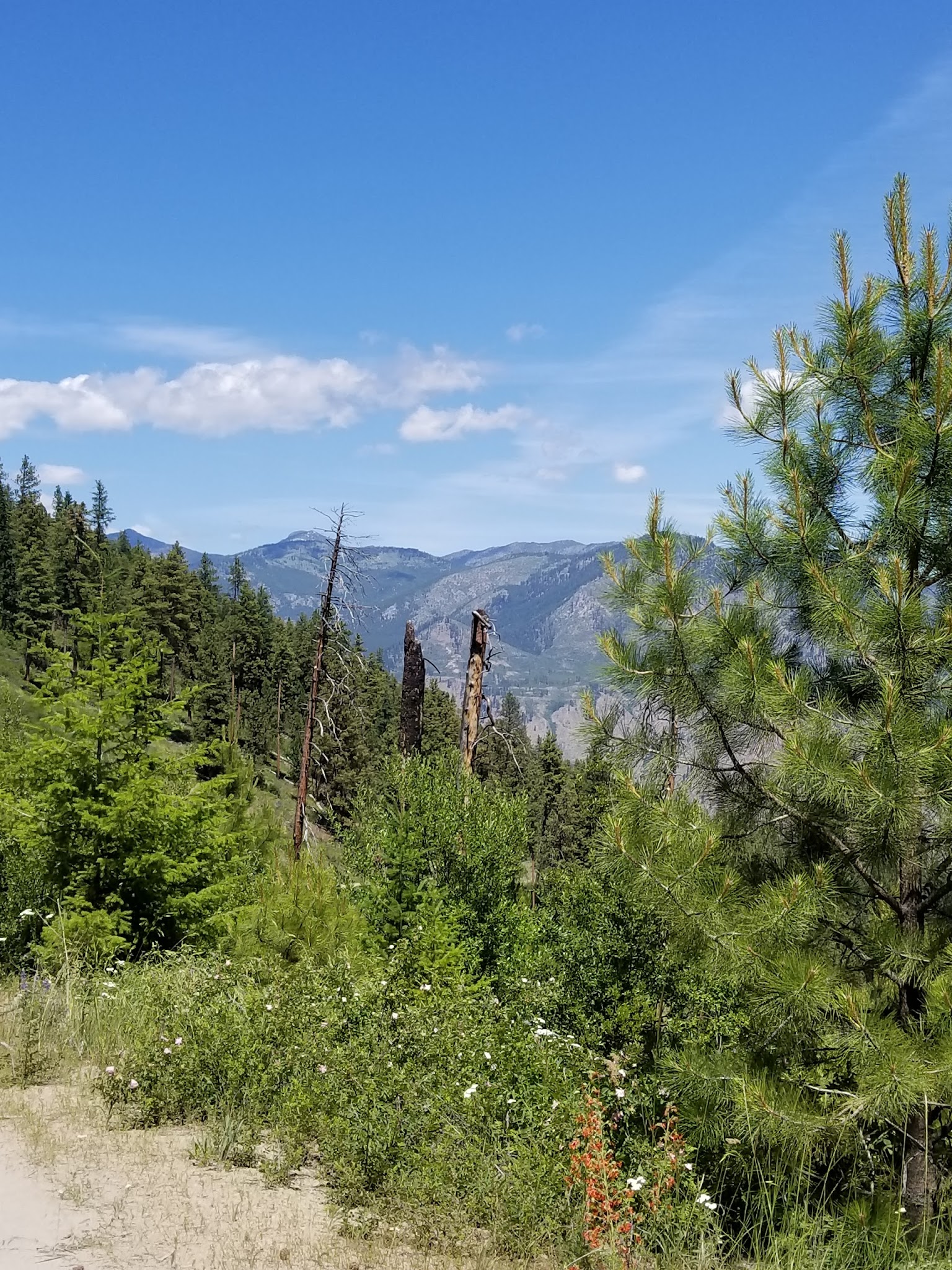 Grouse Mountain Campground