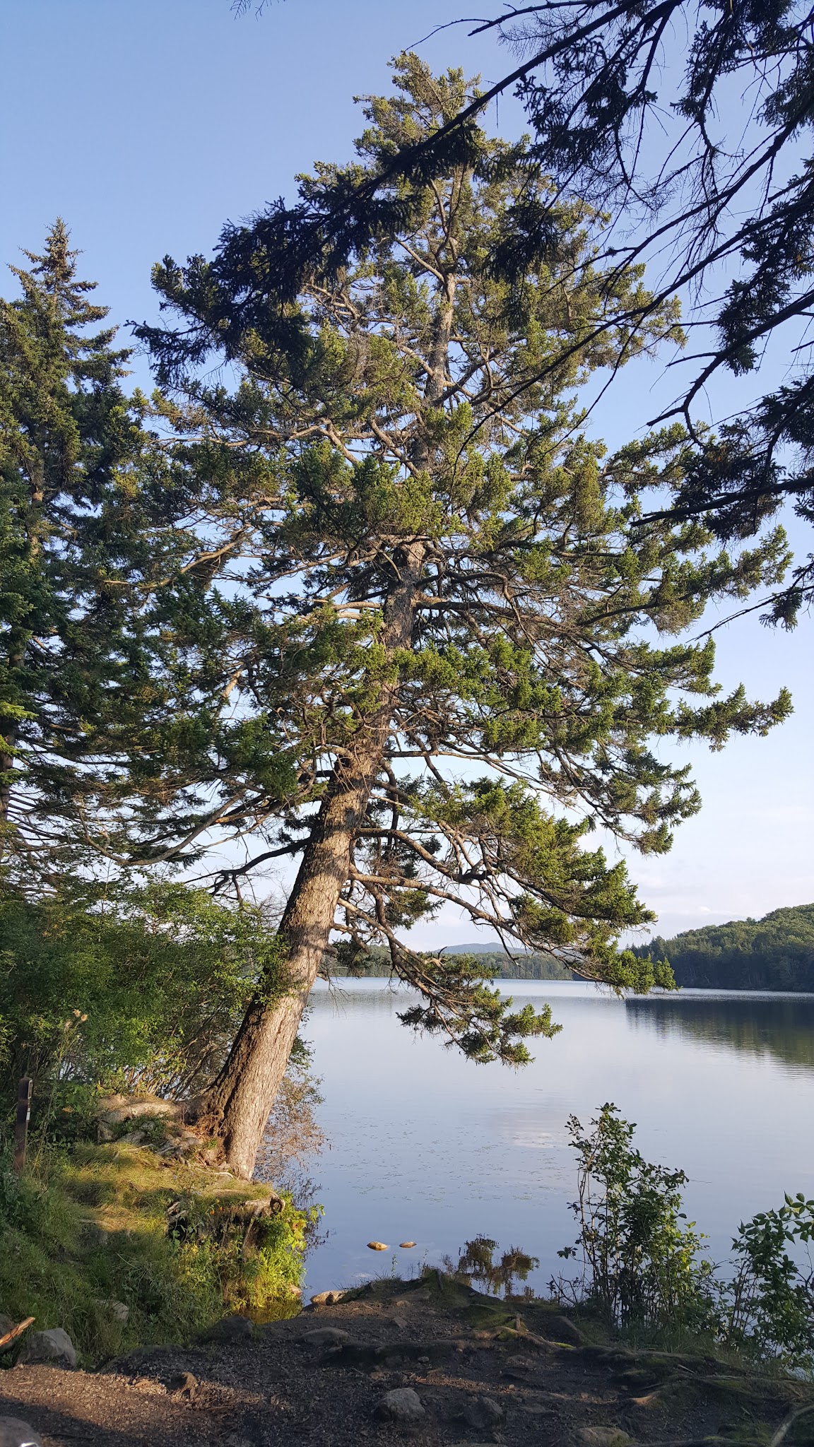 Grout Pond Recreation Area