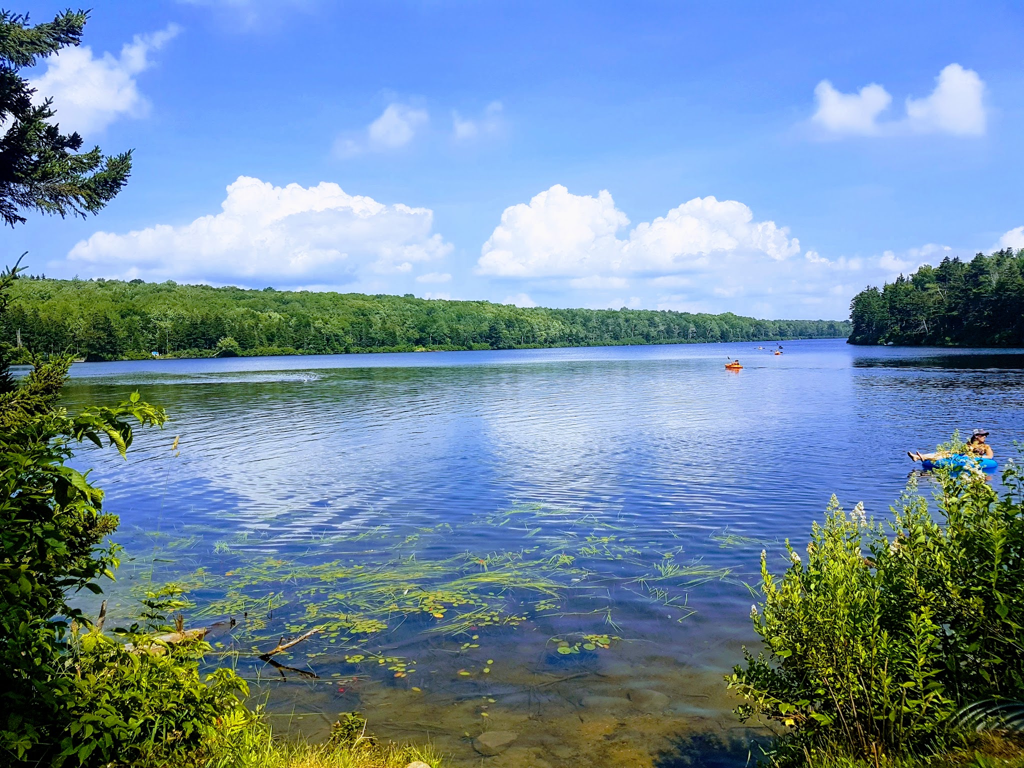 Grout Pond Recreation Area