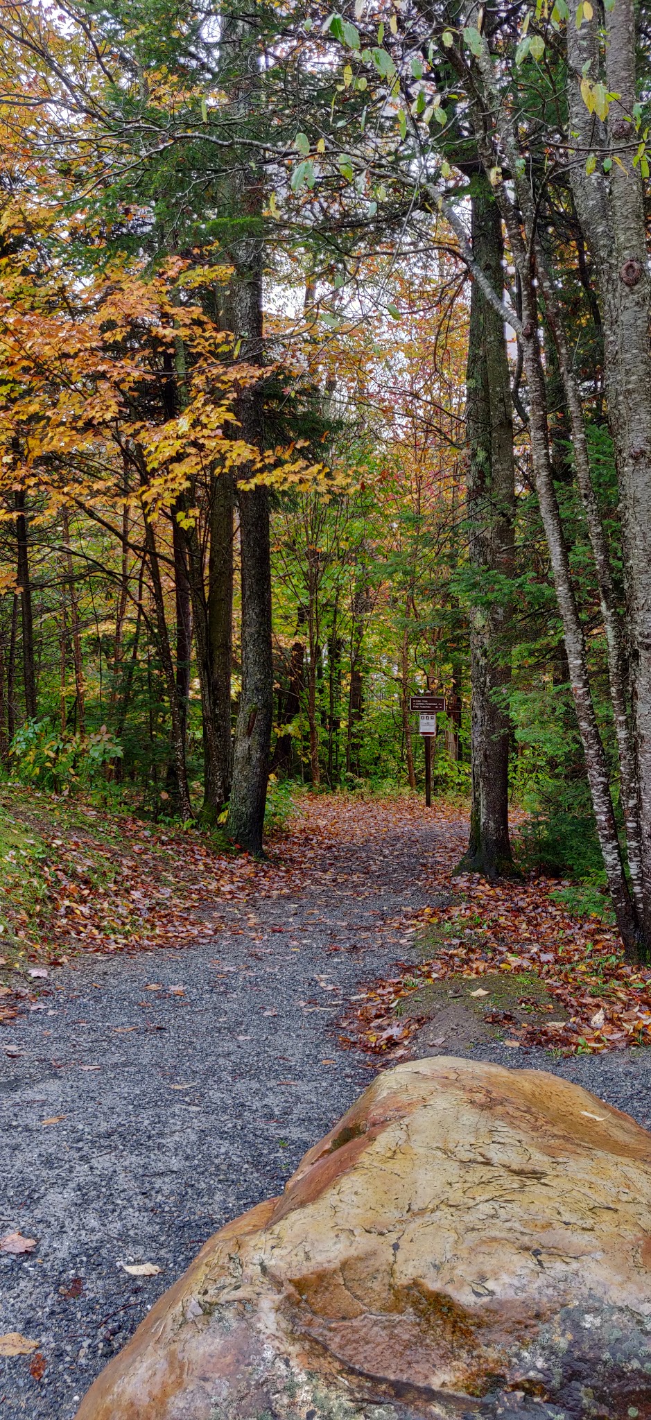 Grout Pond Recreation Area