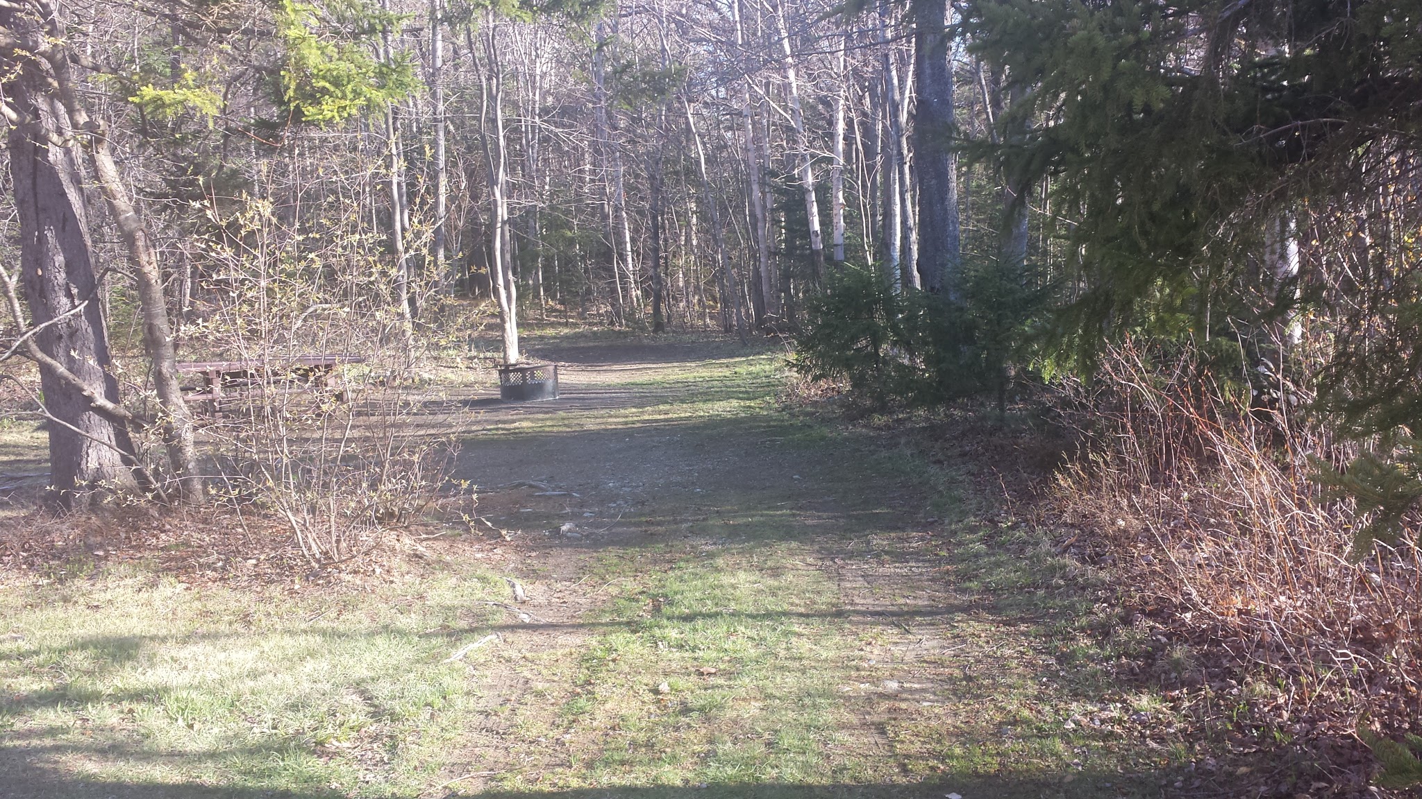 Grout Pond Recreation Area