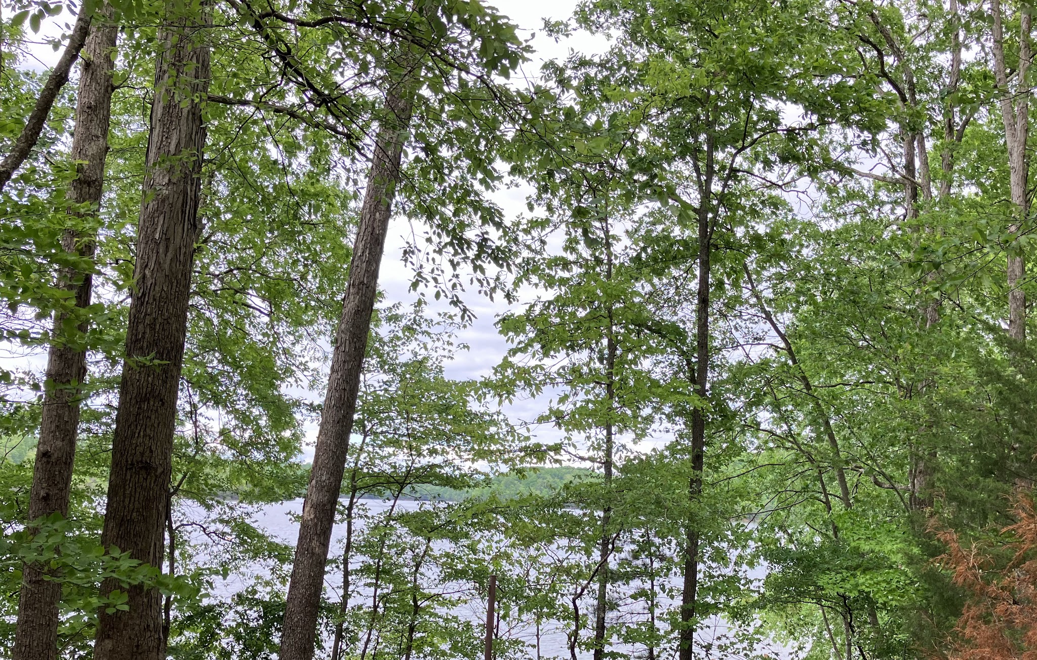 Grove Boat-In Campground