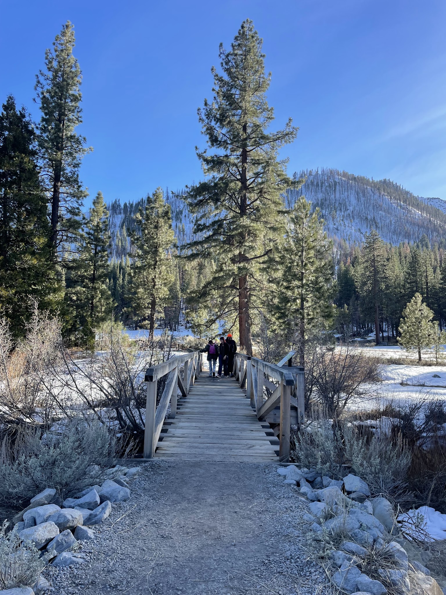 Grover Hot Springs State Park Campground