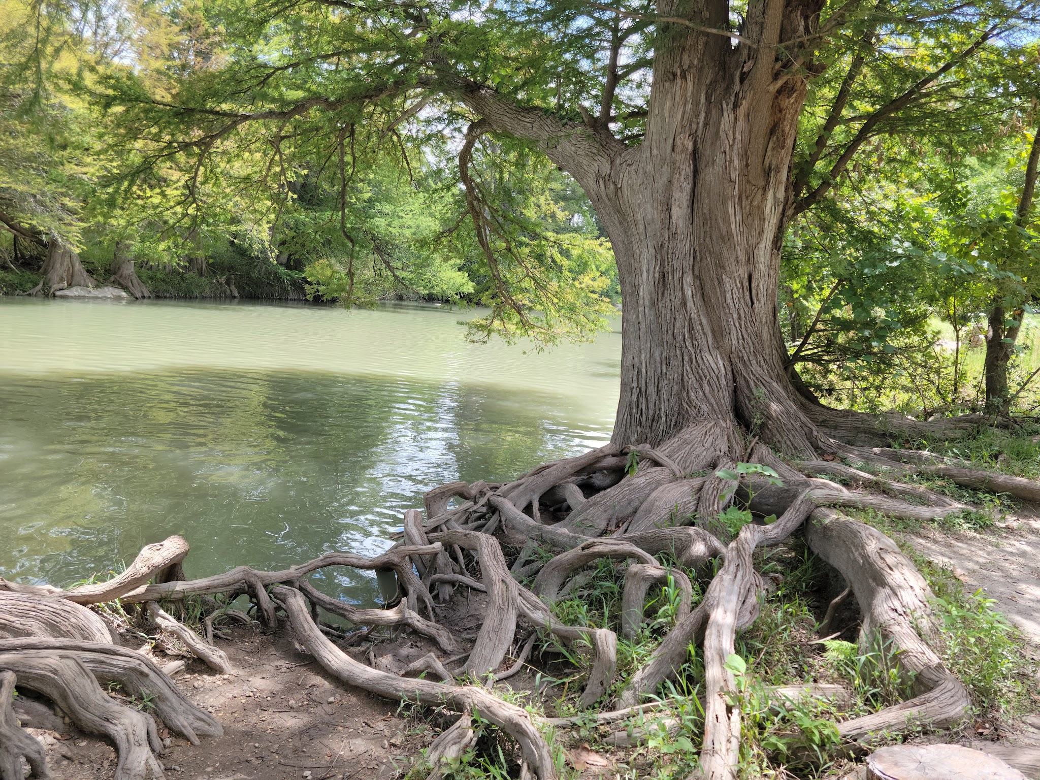 Guadalupe River State Park