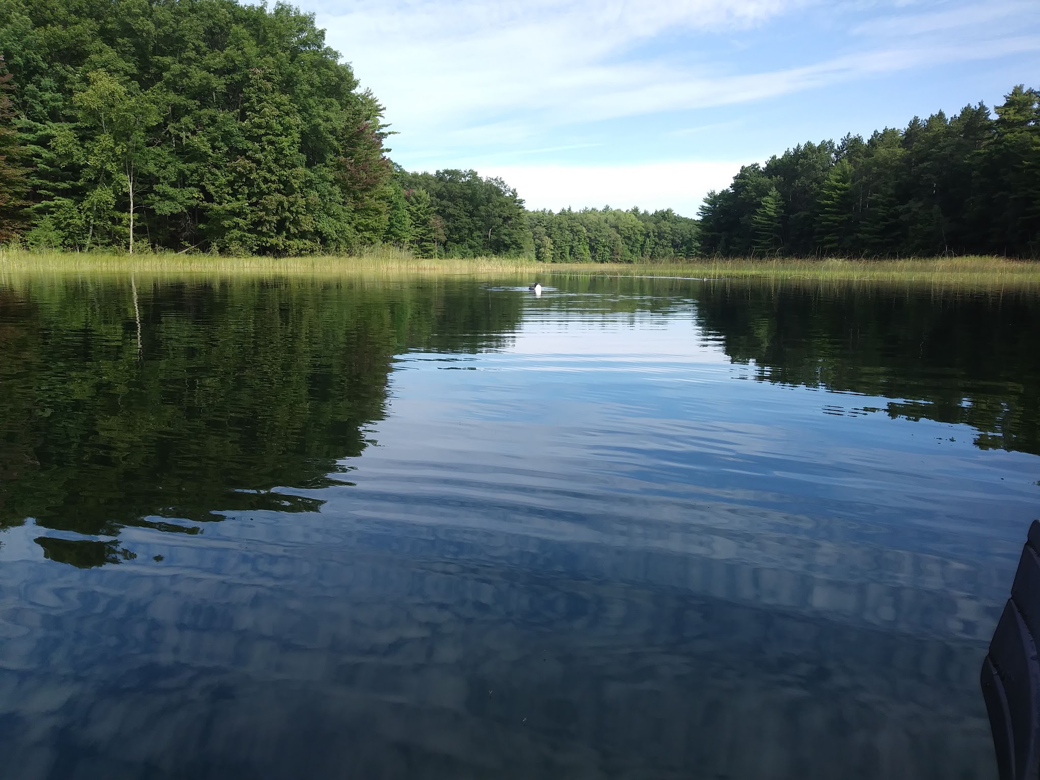 Guernsey Lake State Forest Campground