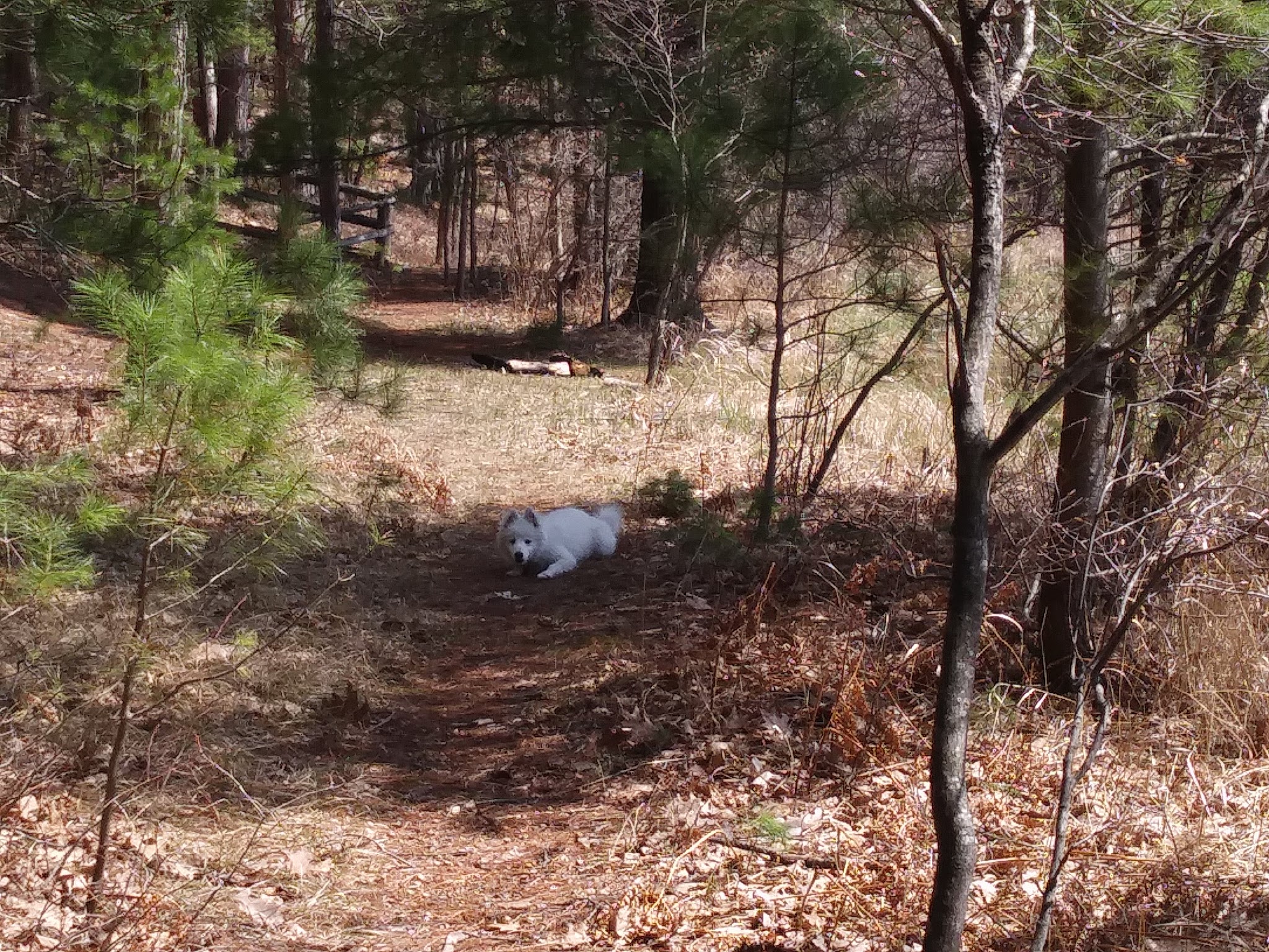 Guernsey Lake State Forest Campground